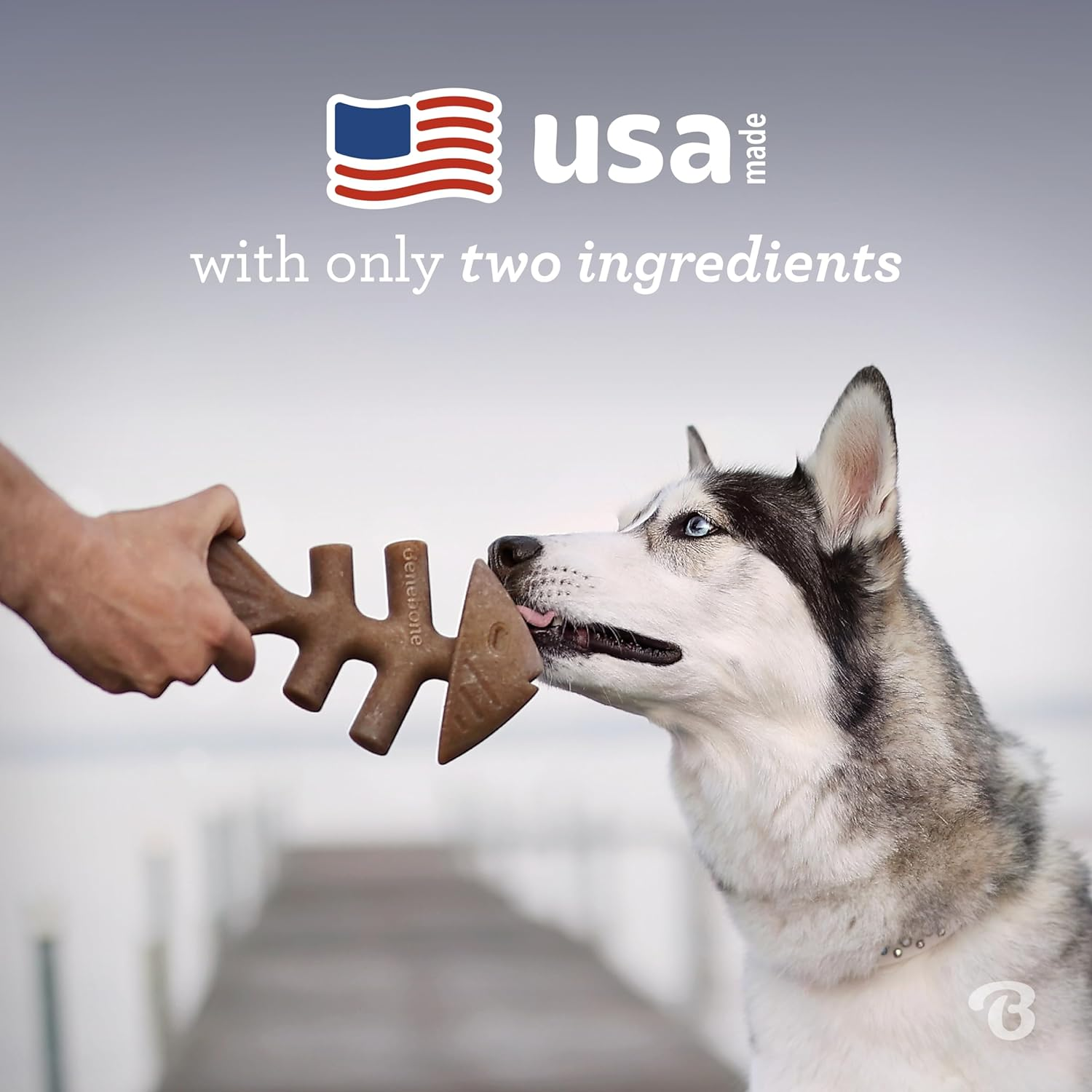 Benebone Fishbone Medium image number 3