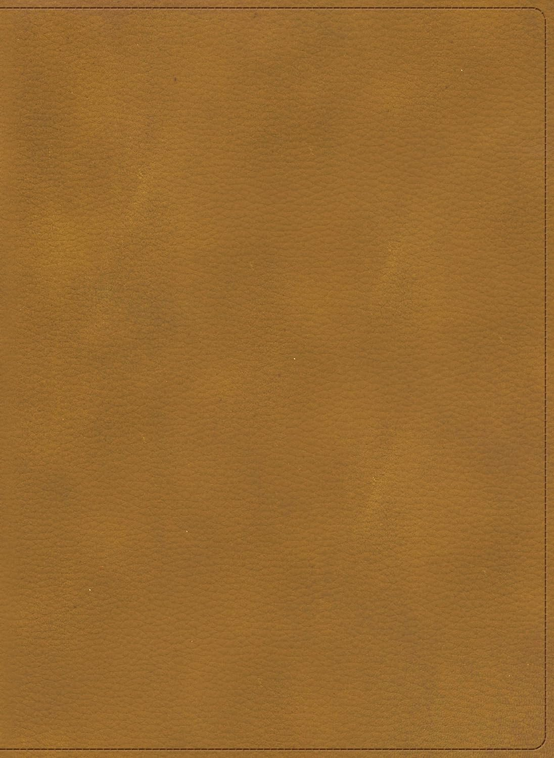 Rvr 1960 Biblia Ilustrada De La Tierra Santa, Caf&eacute; S&iacute;mil Piel Con &Iacute;ndice image number 3