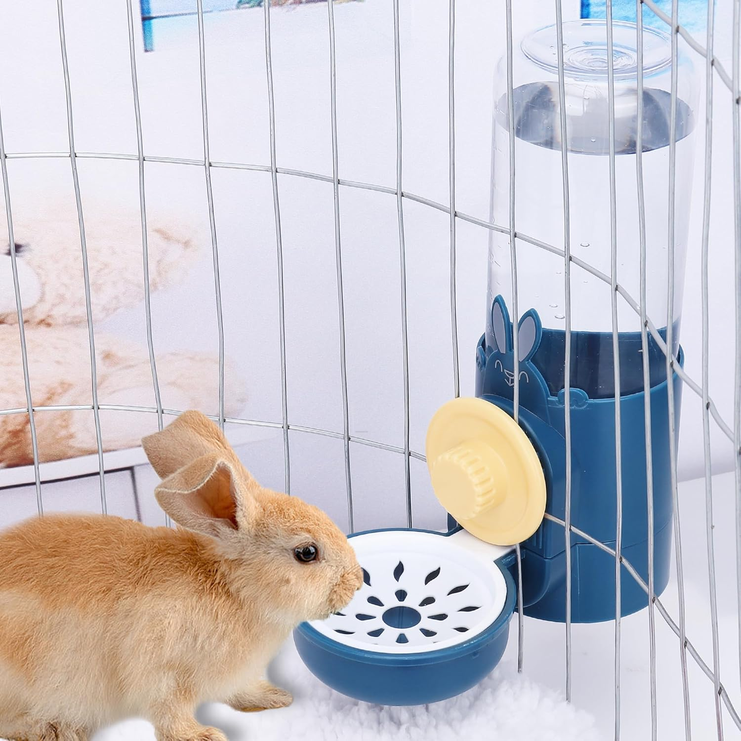 Rabbit Water Bottles 500Ml Large Guinea Pig Non Drip Automatic Kettle for Bunny/Ferret/Hedgehog Small Animal Dispenser (Blue) image number 4