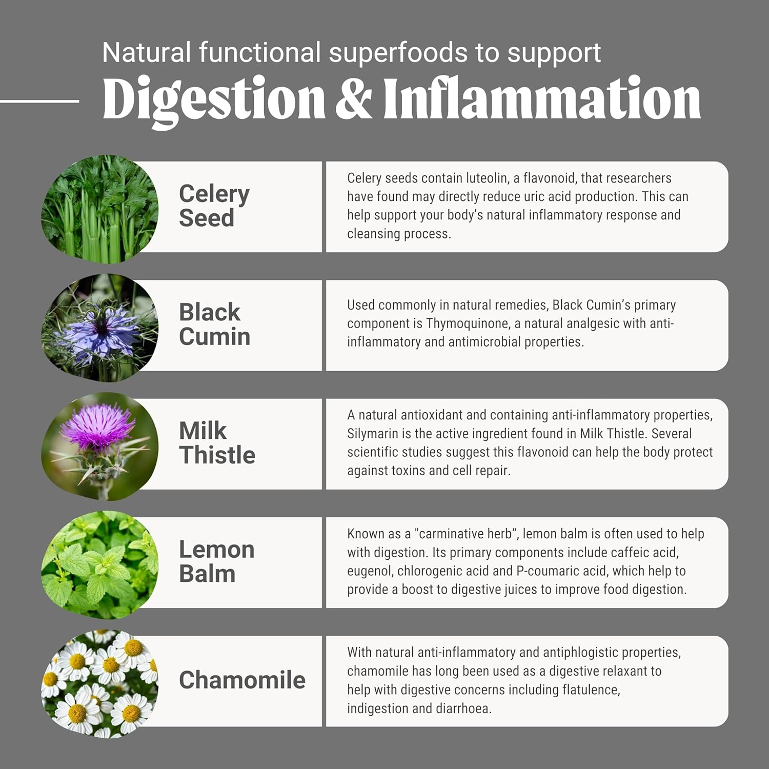 Clean+ Gut Nutrition Powder image number 2