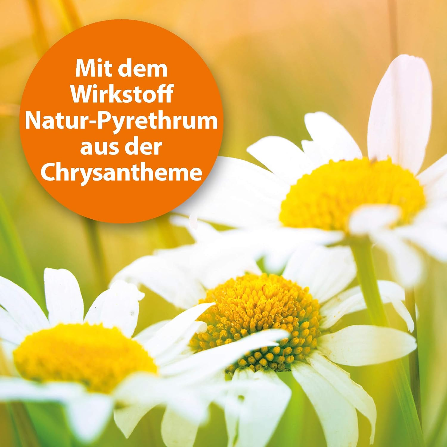 ARDAP Tick and Flea Protection Collar for Dogs and Puppies up to 10 Kg - up to 4 Months Sustainable Long-Term Protection - Natural Active Ingredient against Ticks and Fleas (PT19) image number 5