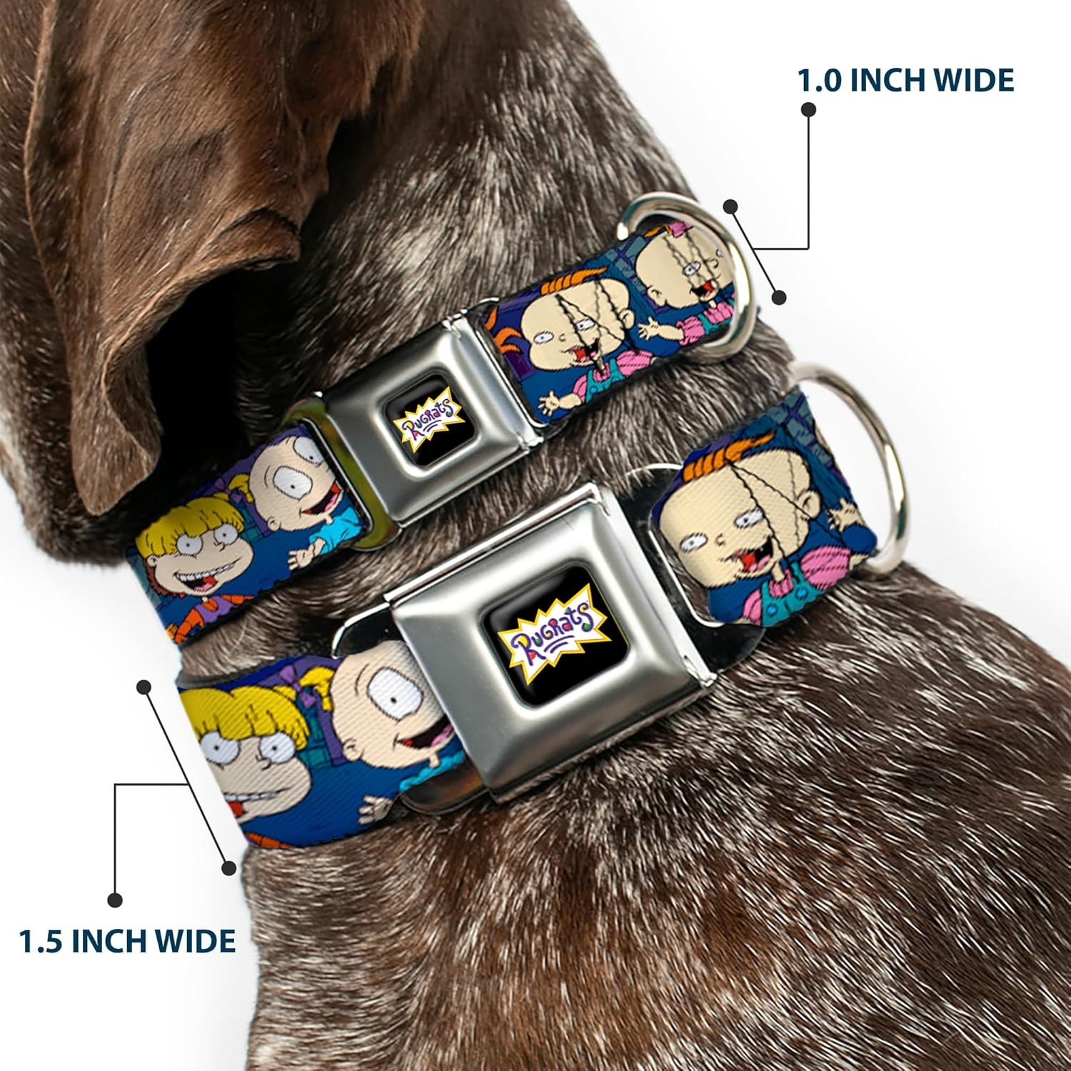 Dog Collar Seatbelt Buckle Rugrats Group Pose 9 to 15 Inches 1.0 Inch Wide image number 6