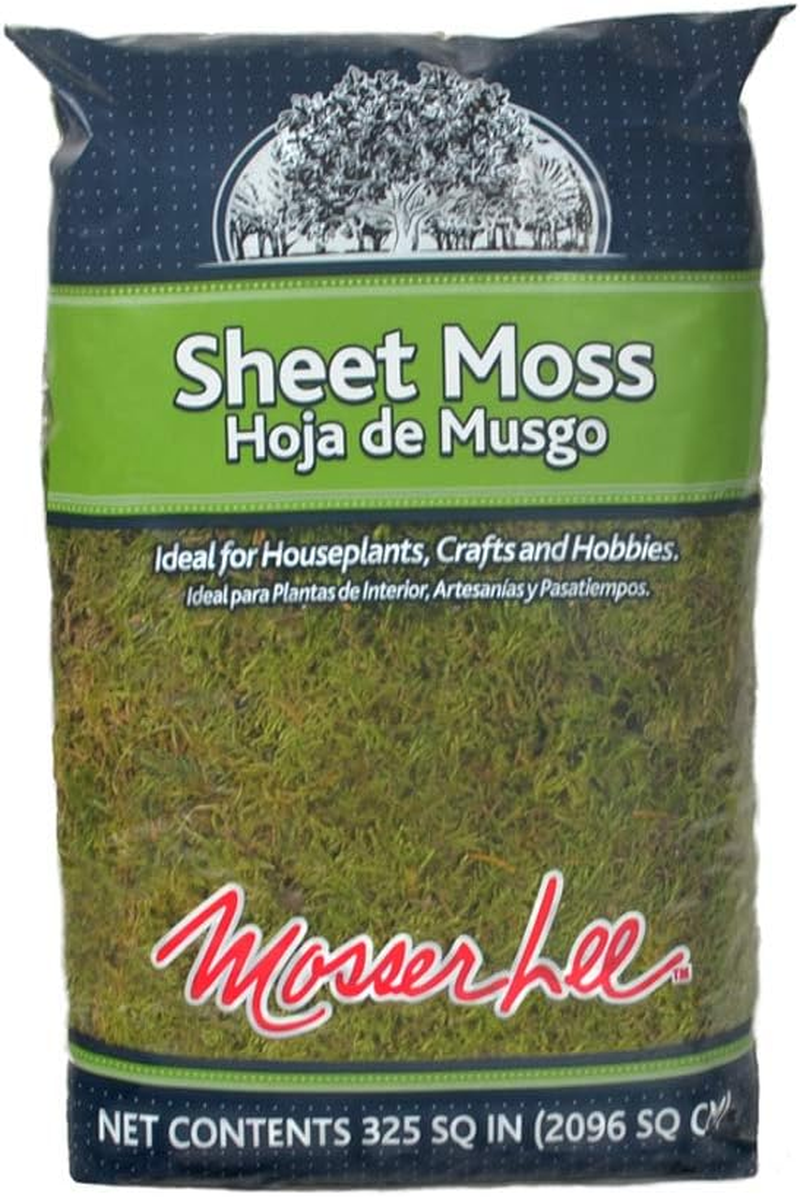 Mosser Lee ML0460 Natural Green Sheet Moss, 325 Sq. In. image number 4