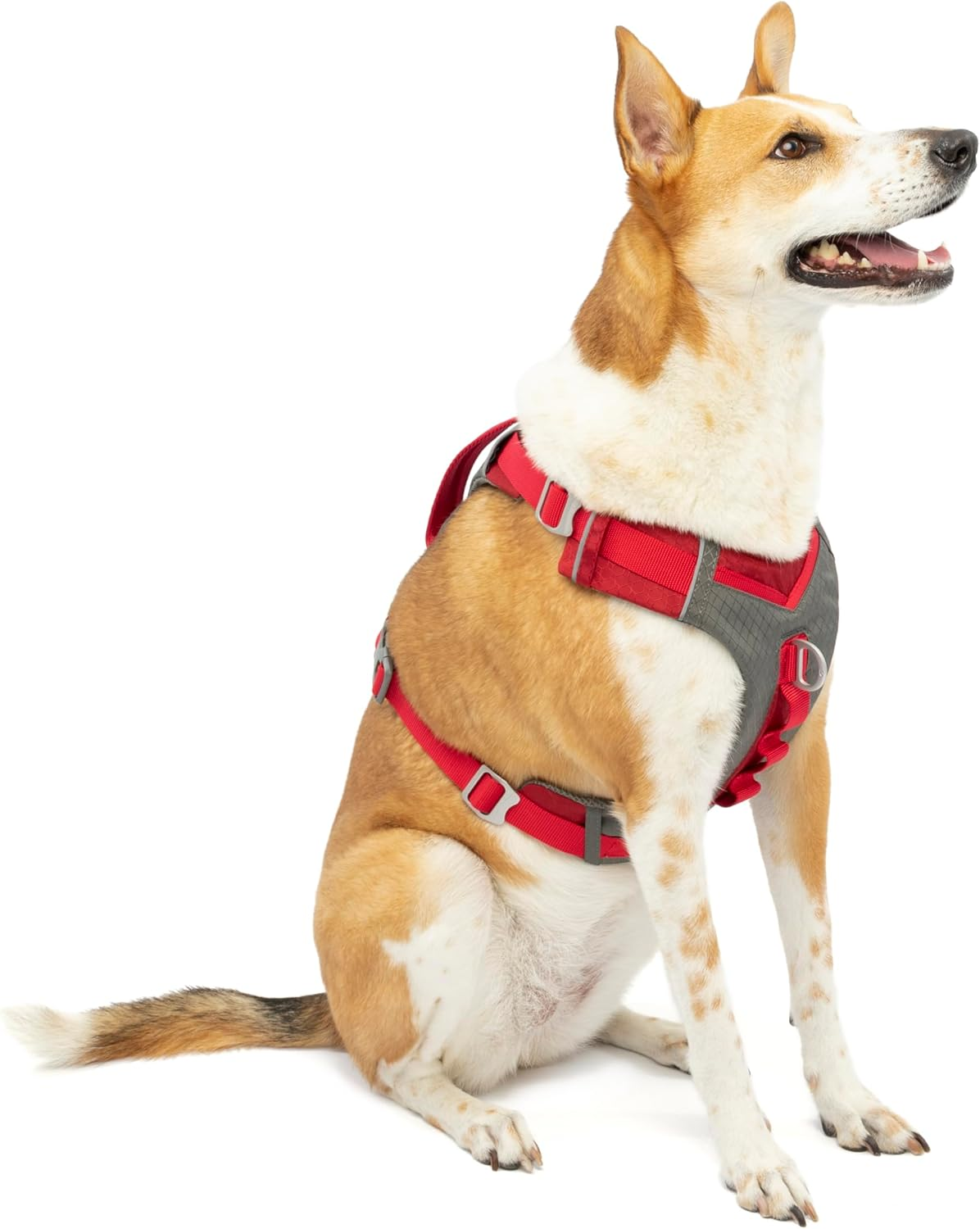 Kurgo Kurgo Journey Air (TM) Dog Running Harness, Dog Walking Harness, Dog Hiking Harness, Dog Harness, Red/Grey, Large, L image number 5