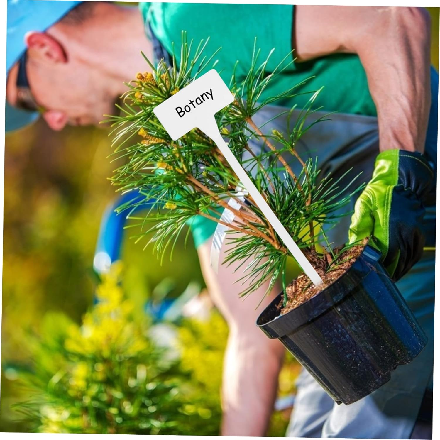 Gogogmee 10Pcs Plant Labels Nursery Garden Tags Markers Garden Insert Tag Re-Usable Plant Labels for Outdoor Product And