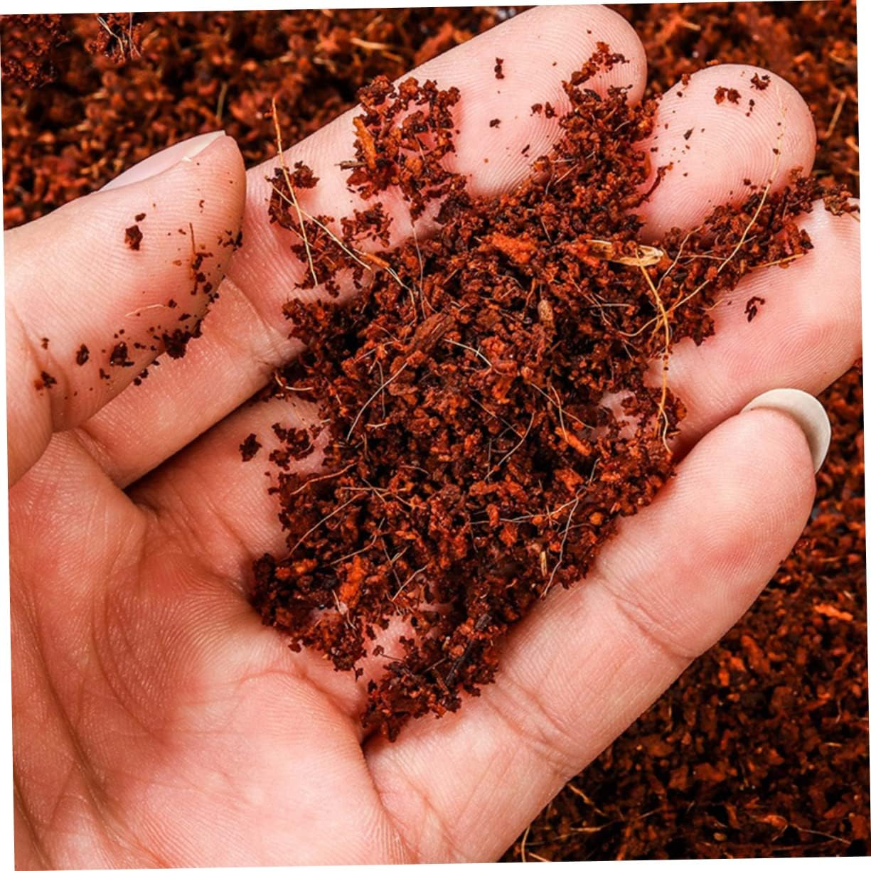 Sosoport Coconut Fiber Nutrient Soil Blocks for Gardening Compressed for Vegetable and Flower Planting 5 Pcs (6X2.5Cm)