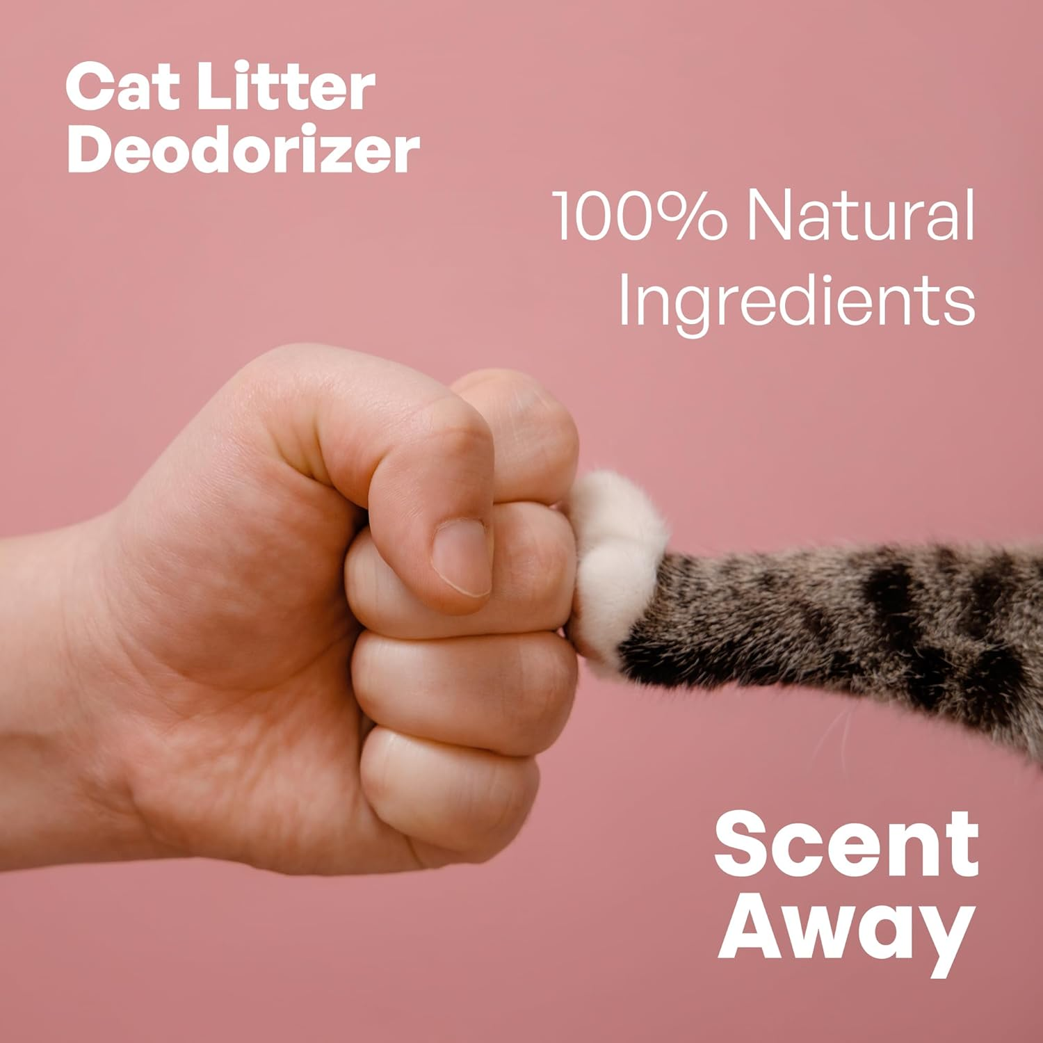 SCENT AWAY Cat Litter Deodorizer Box Odor Eliminator | Fragrance Free with Active Carbon | Eliminates Odors and Smells to Keep Your Home Fresh and Clean (Pack of 1) image number 3