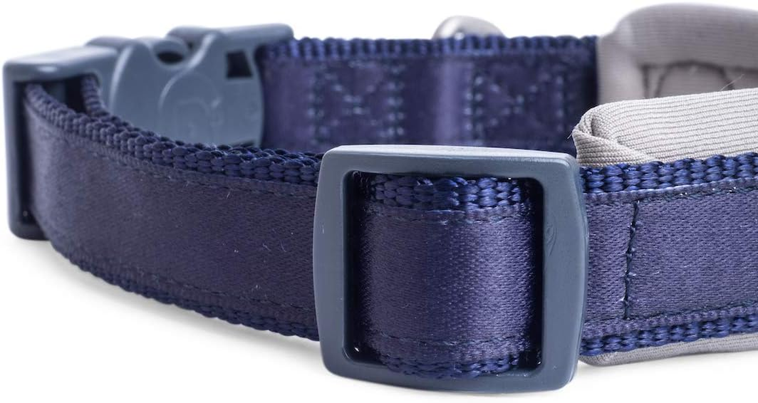 Petface Petface Outdoor Paws Neoprene Padded Dog Lead, Large, L