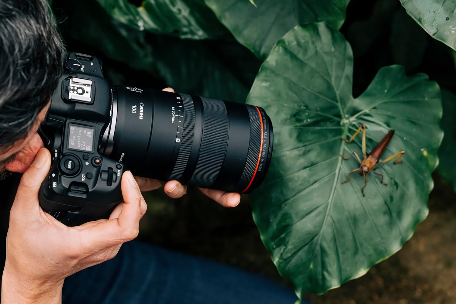 Canon RF 100Mm F2.8L Is Macro Lens - AU Version image number 4