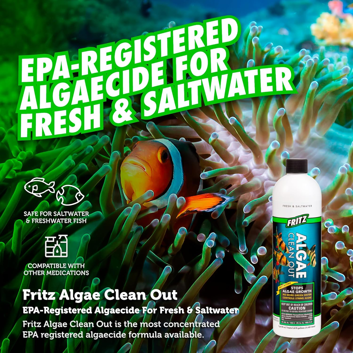 Fritz Aquatics 48016 Fritz Algae Clean Out Algaecide for Fresh and Salt Water Aquariums, 16-Ounce image number 2