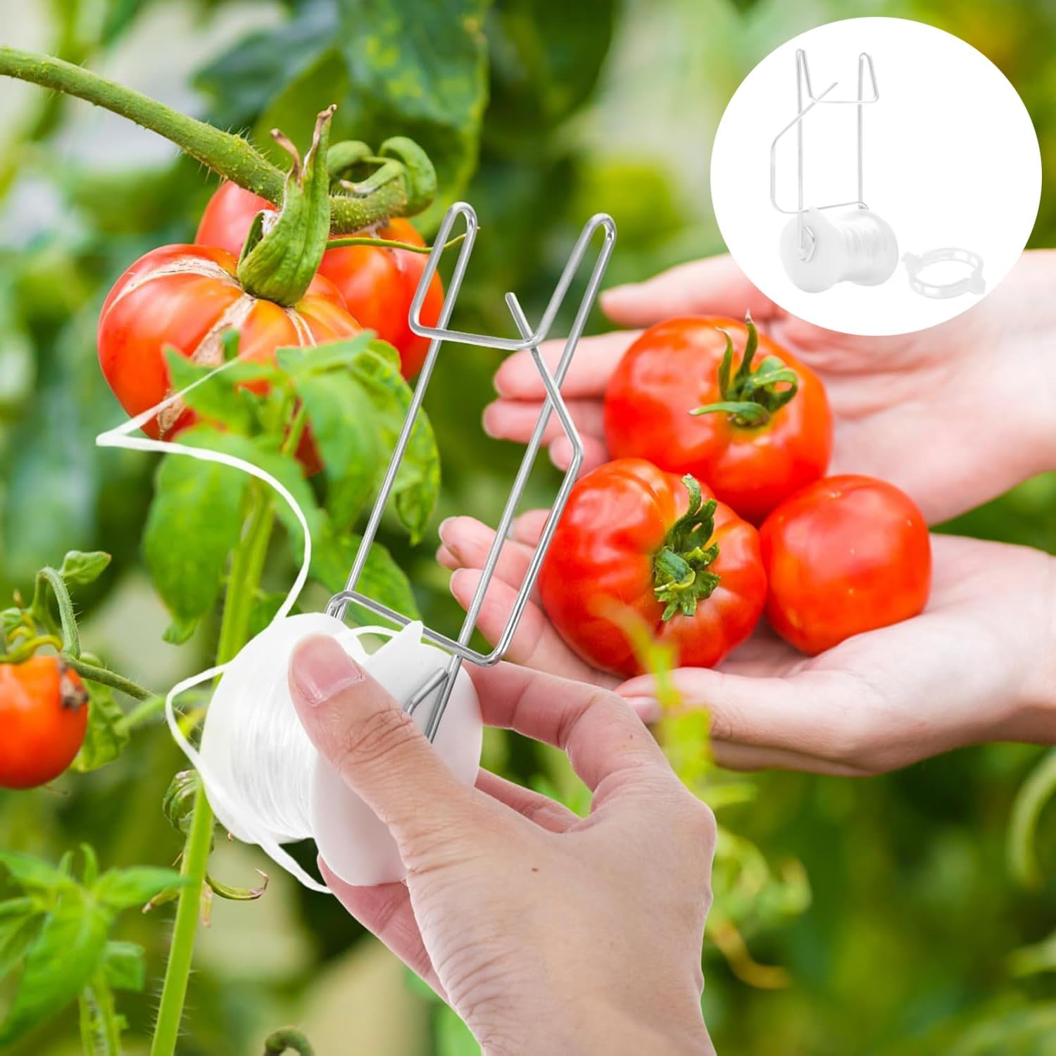 Roczential Sturdy Tomato Roller Hooks with 15M Rope, Versatile Strong Load Bearing Flower Vine Crop Trellis Kit for Greenhouse Balcony Terrace(White)