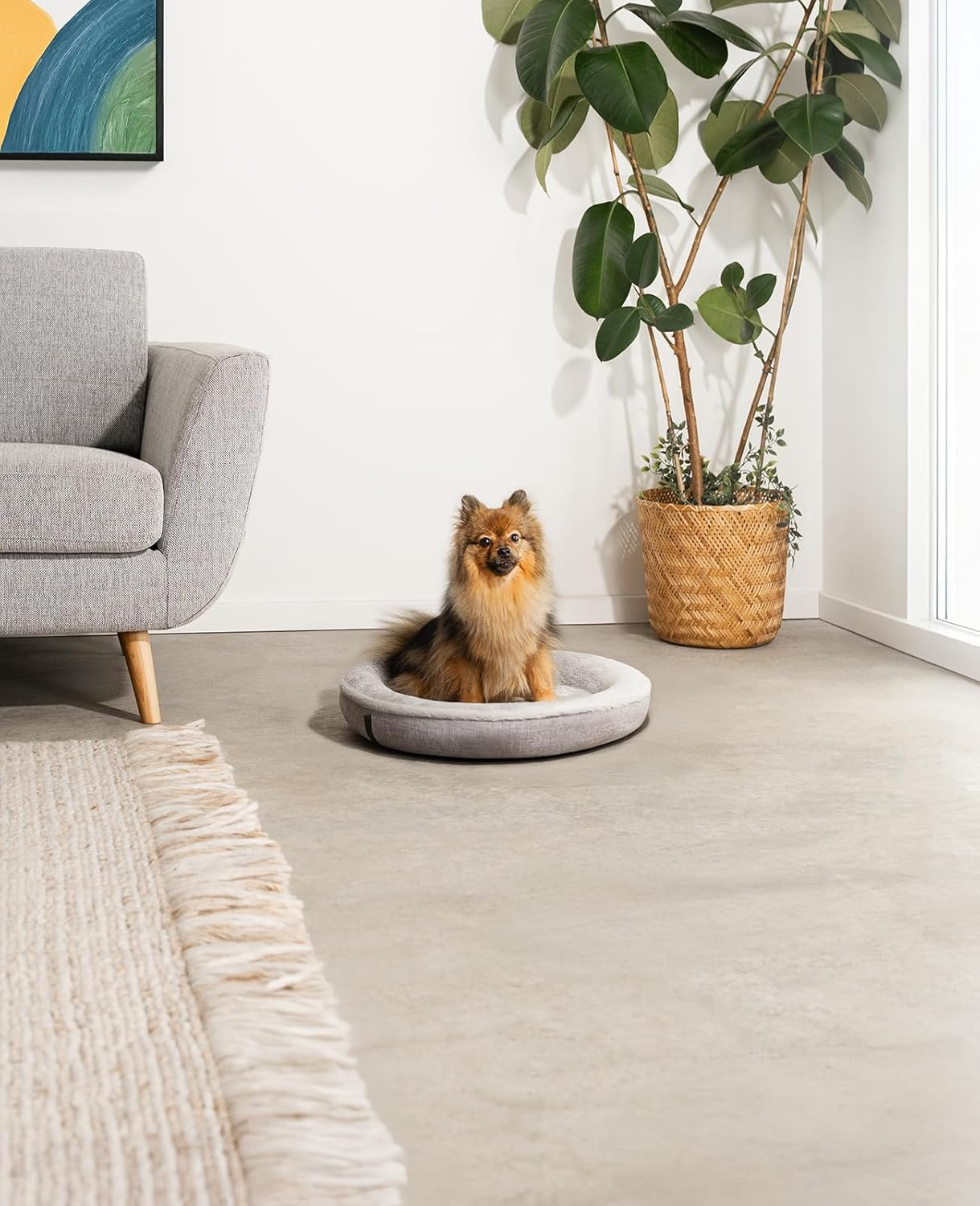 Lionto DB00280 round Dog Bed Dog Sofa Cat Bed Donut (S) 55 Cm S Grey 700 G image number 6