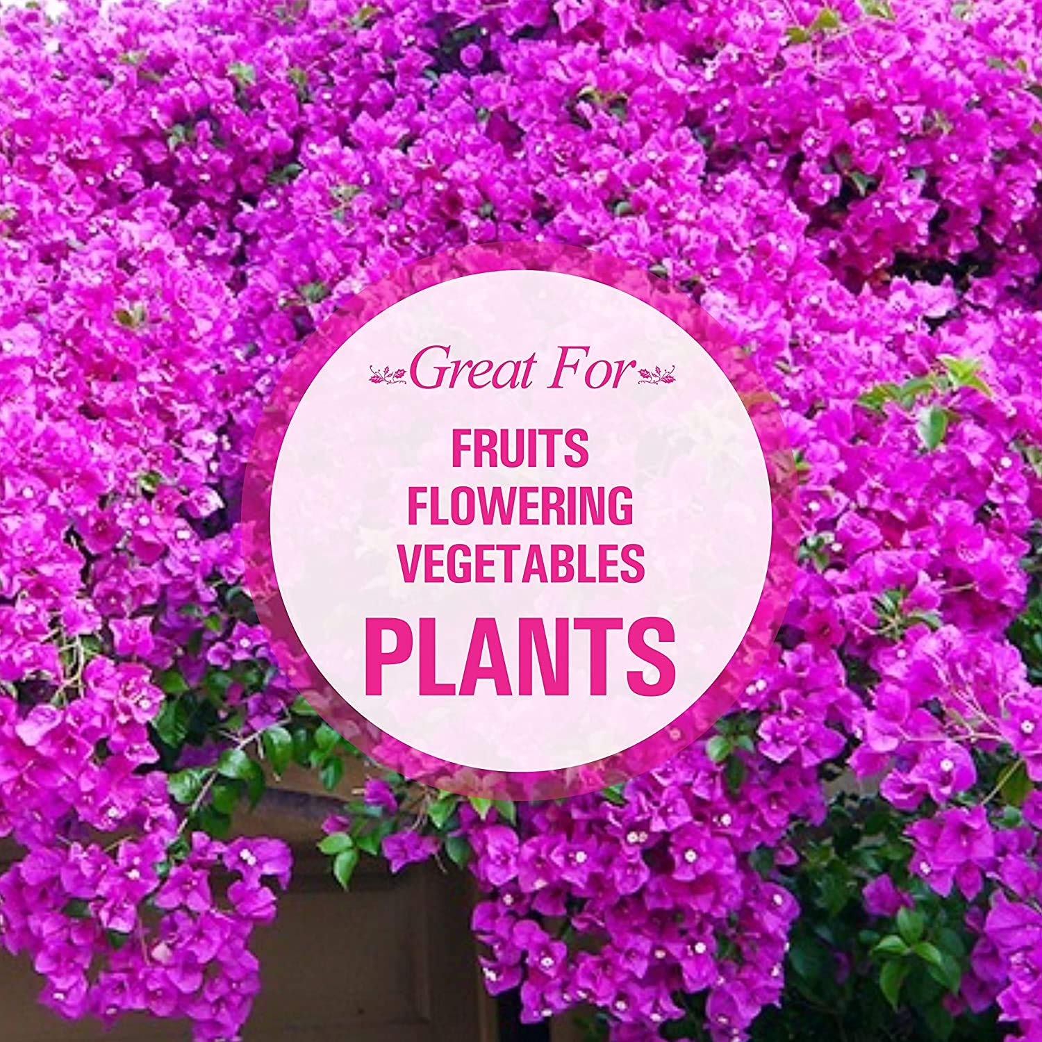 Creative Farmer Epsom Salt 1Kg | for Speed up Plant and Vegetable Growth Magnesium Sulphate image number 3