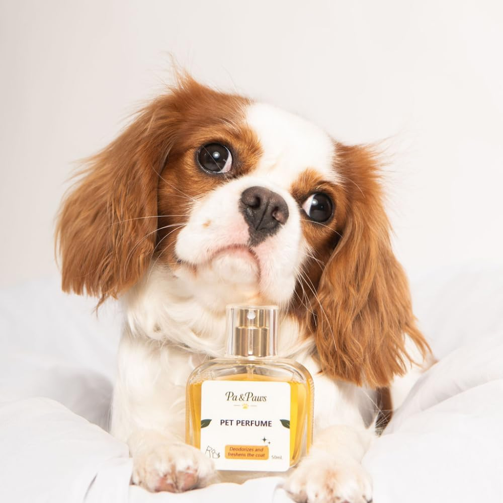Pa & Paws Pet Perfume &ndash; Refreshing Coat Spray for Dogs & Cats (50Ml) image number 5