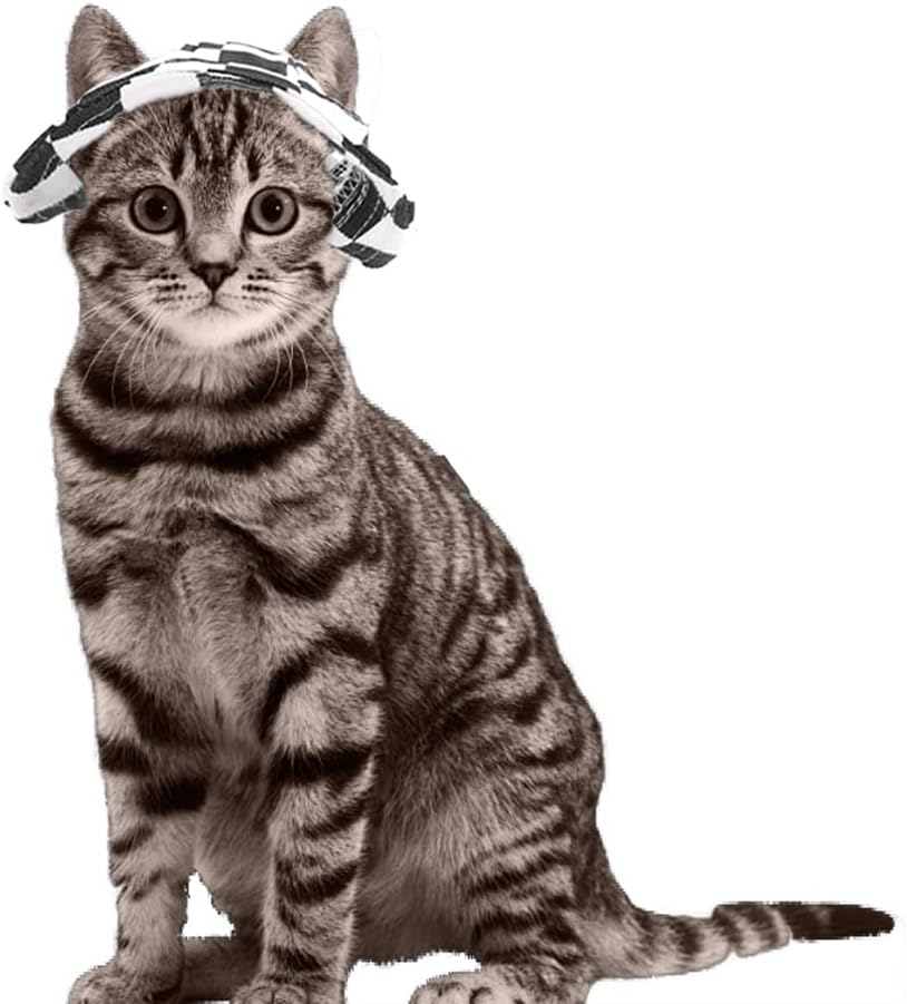 Pet Hat for Cats Dogs Only with Adjustable String Pet Hat Small Pet for Small and Medium Cats Birthday Party Costume Decoration,Summer Travel Hat with Ear Holes (M) image number 5