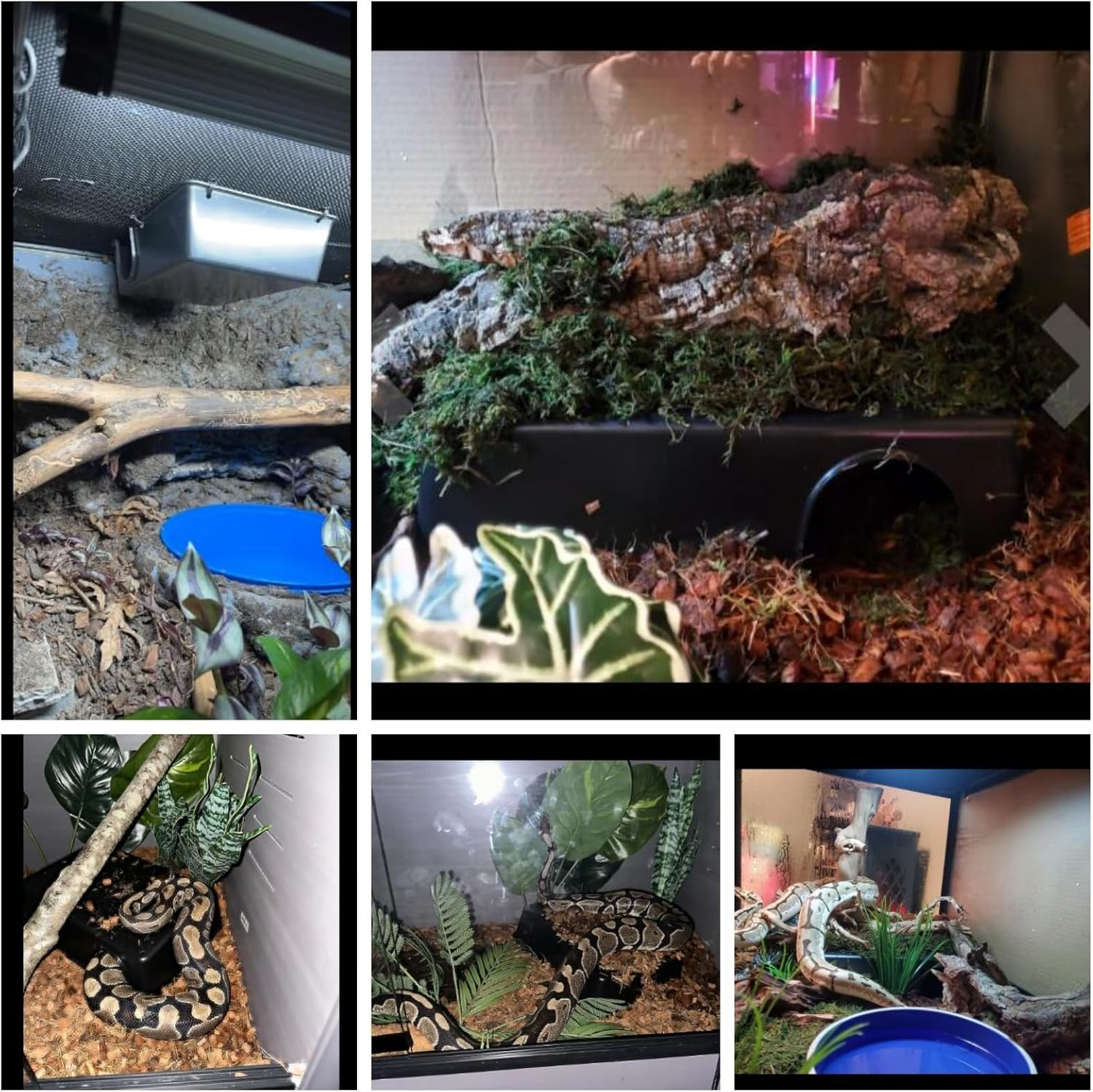 Amypet Large Snake Hide for Ball Pythons and Different Size Snakes Durable Material Easy to Clean,Big Enough for Ball Python 42X27X11Cm (XXL) image number 3