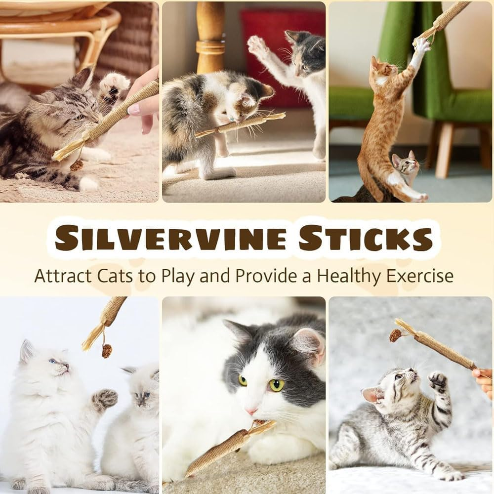 Aufondof 6Pcs Natural Silvervine Sticks, Cat Dental Chew Sticks Cat Toys for Indoor Cats Kitten Teething Toys Teeth Cleaning Toy