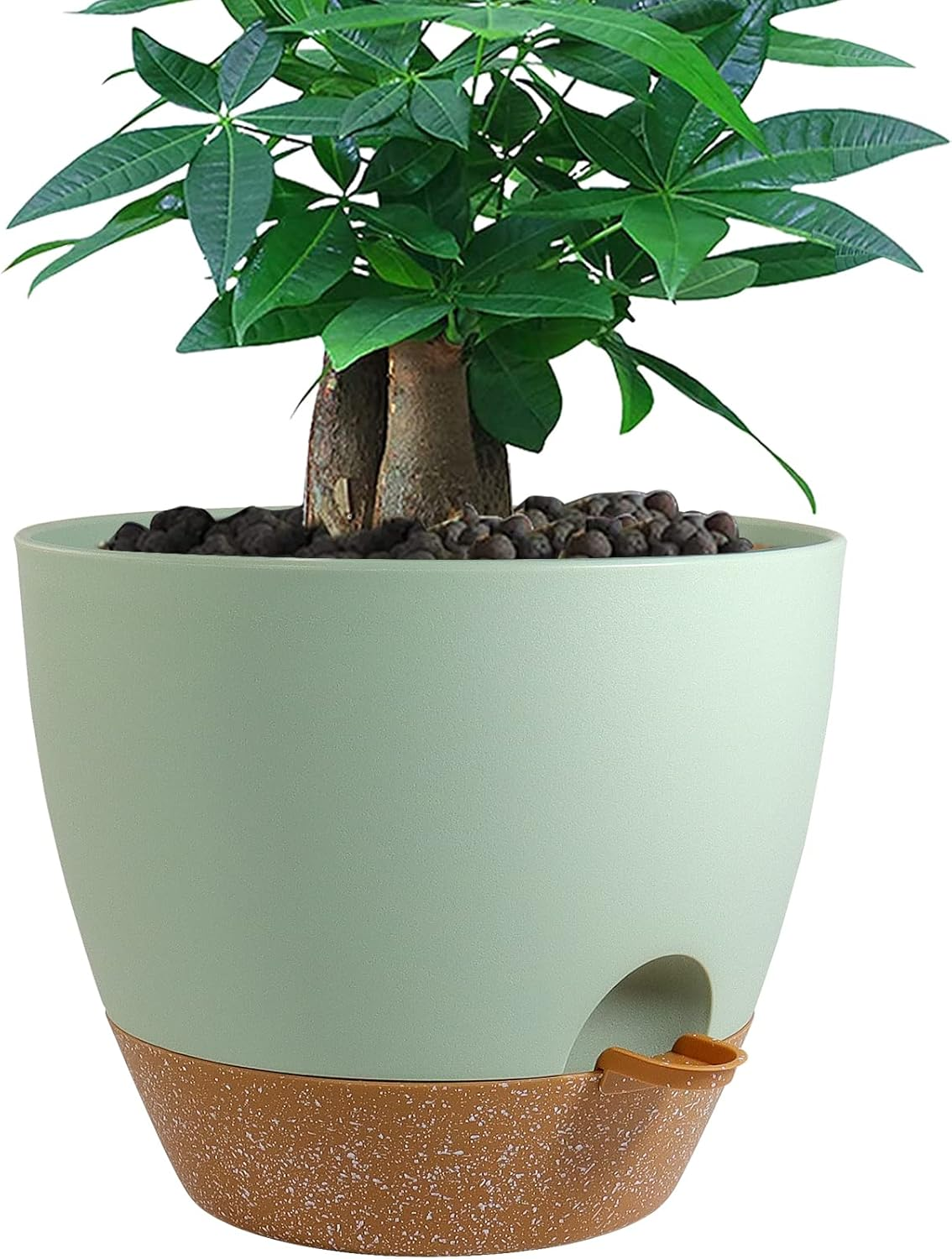 12 Inch Large Self Watering Pots, Plastic Planters with 60Oz Removable Deep Reservoir and Multi Mesh Drainage Holes for Indoor Outdoor Garden Plants and Flowers, Green with Brown - Black With Brown image number 5