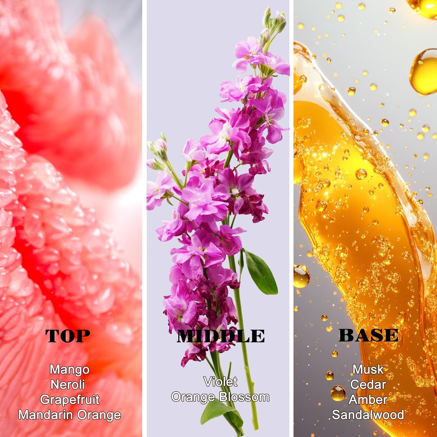 WK JALY Women Eau De Parfum Vaporisateure Natural Spray, with Notes of Violet, Orange Blossom, Musk, Cedar, Amber, Sandalwood, 100Ml image number 4