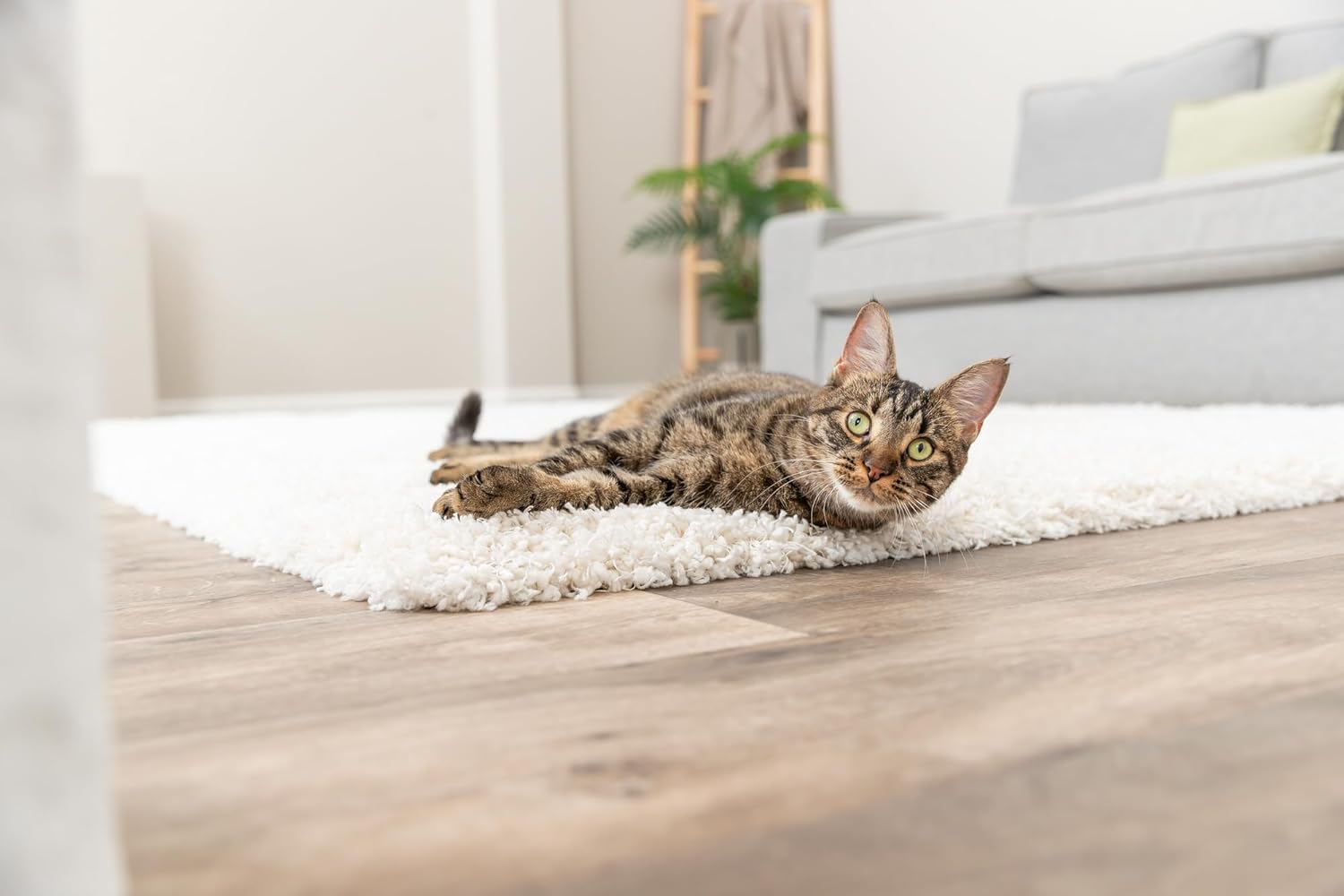 Trixie Plush Monster Toy for Cats, 11 Cm, Soft Cat Toy for Shared Play and Fun - 45465