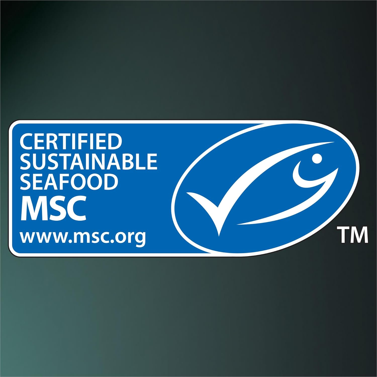 Dine Fillets Wet Cat Food Sustainable Tuna 60G Tray, 16 Pack image number 1