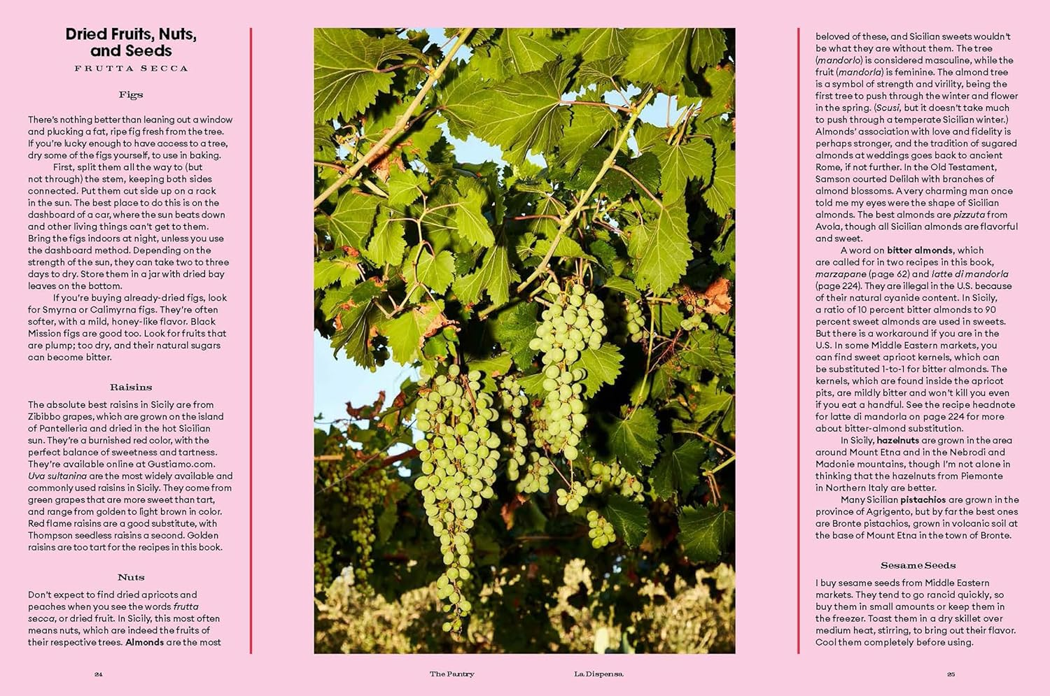 Sicily, My Sweet: Love Notes to an Island, with Recipes for Cakes, Cookies, Puddings, and Preserves image number 3