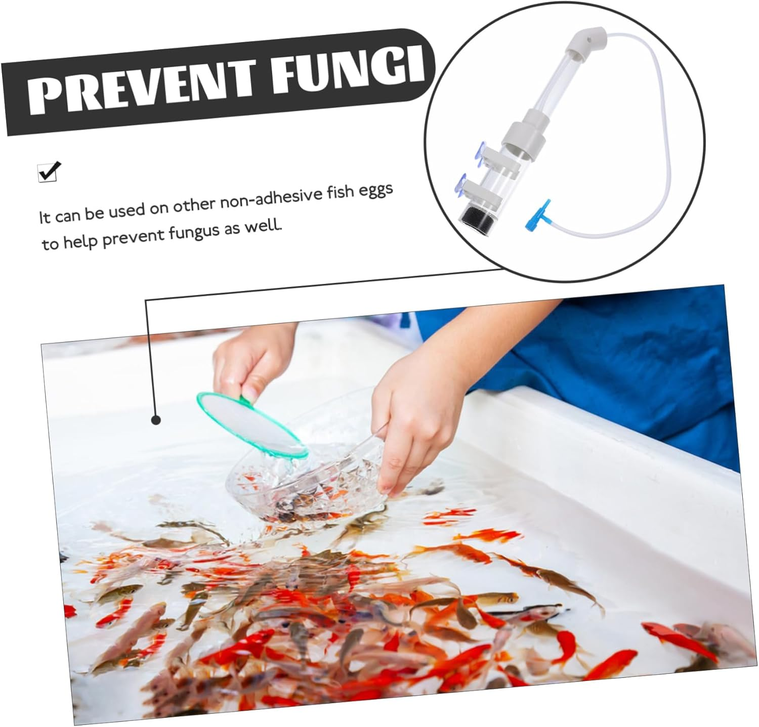 Sosoport Fish Incubator for Aquarium for Cichlids Breeding Helps Hatch Eggs Suitable for Fish Aquatic Pets Care image number 4