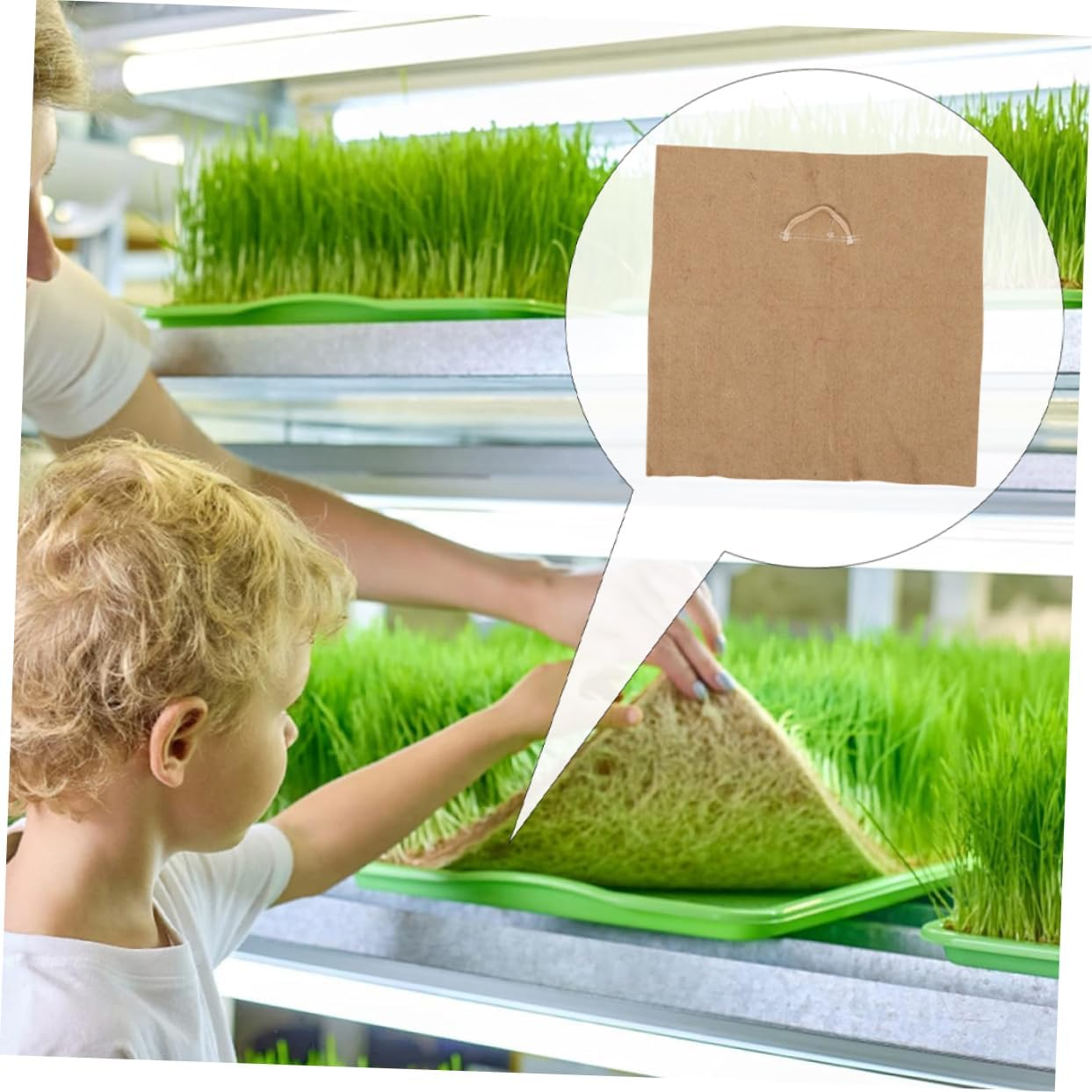 Parliky Jute Seed Growing Pads for Microgreens Sprouts Growing Paper 2Pcs Square Germination Tray Papers for Seed Starter Tray and Seeding Supplies in Indoor Gardening image number 3
