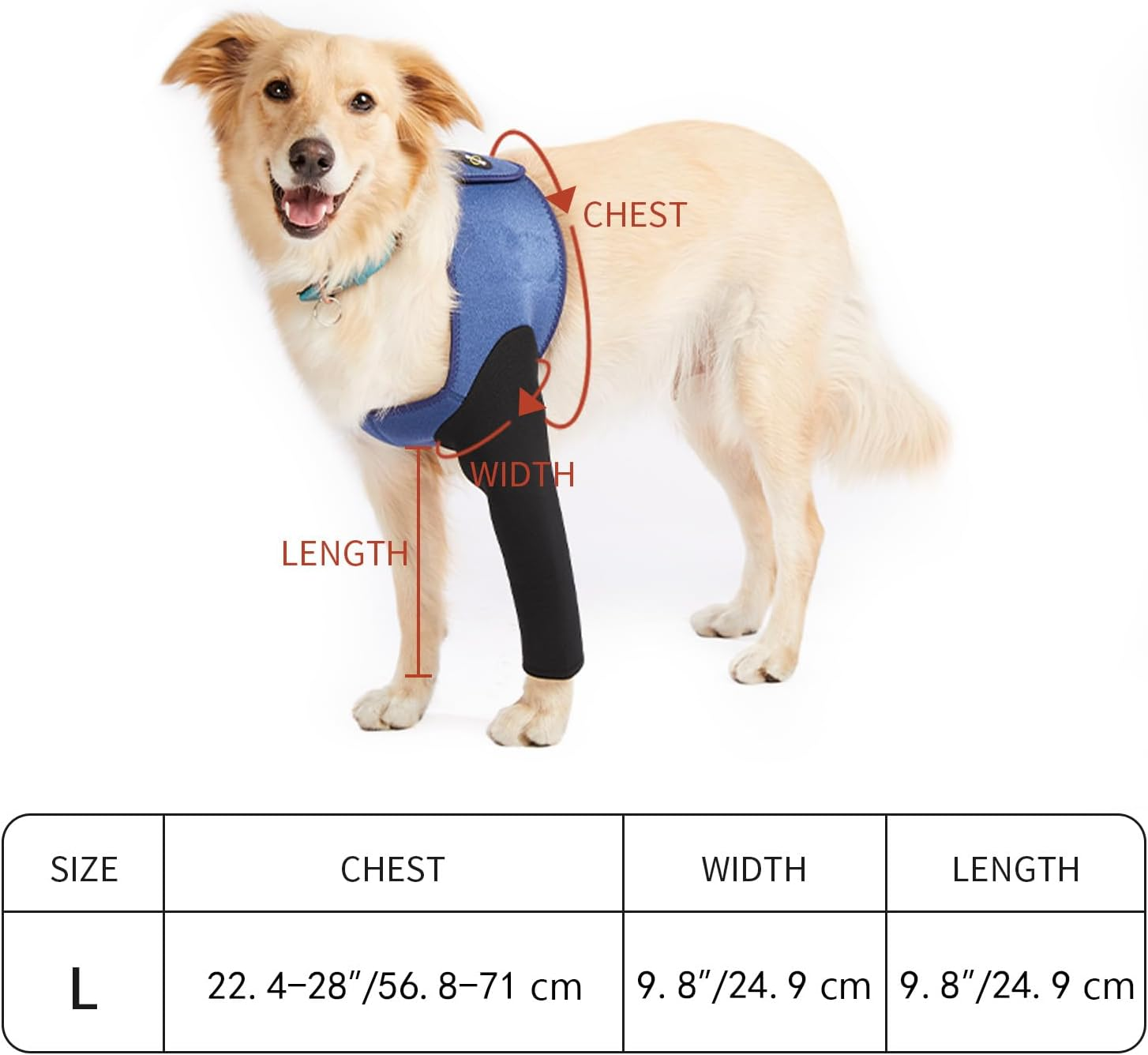 Coodeo Dog Recovery Suit, Cone Collar Alternative, Abrasion Resistant Dog Recovery Sleeve, Washable 2.5Mm Thick and Waterproof, Pet Wounds Prevent Licking, Bite, Keep Dry（Blue，L image number 2