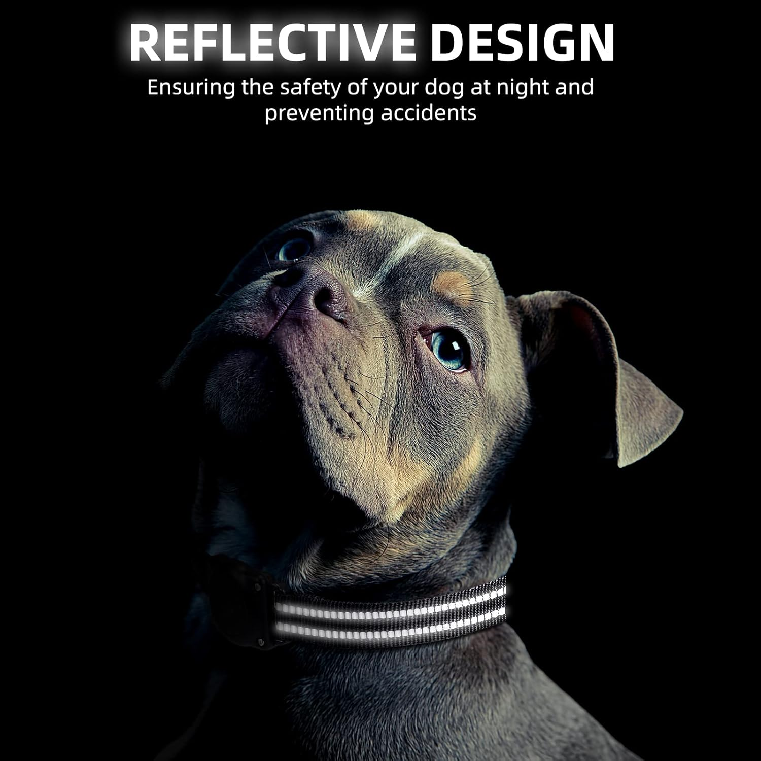 Airtag Dog Collar, 100% Waterproof Integrated Apple Air Tag Dog Collars, Reflective GPS Dog Collar with Hard PC Airtag Holder Case for Small Medium Large Dog (Black) image number 1