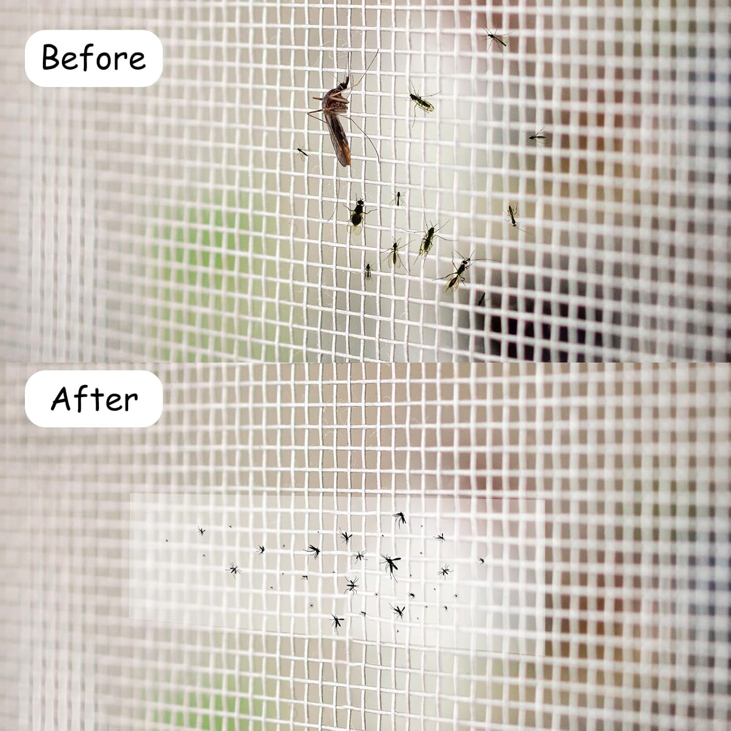 30Pcs Window Fly Traps Transparent Double-Sided Fly Stickers Small Flying Insects Fly Traps Sticky Insect Boards Suitable for Indoor Houseflies Mosquitoes and Flying Mosquitoes image number 3