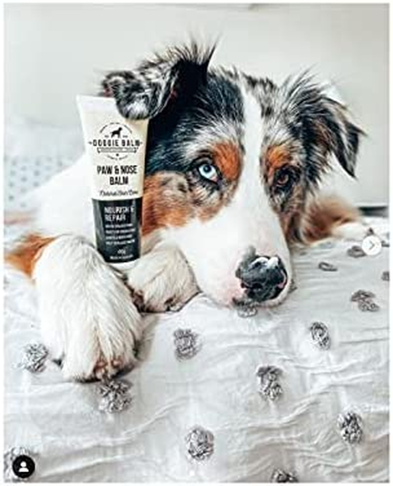 The Doggiebalm Co. Paw & Nose Balm, 60G - Dog Nose, Elbow & Paw Balm - All Natural Pet Skin Care to Nourishes, Hydrate & Repair - Dog Skin Treatment for Sensitive Skin