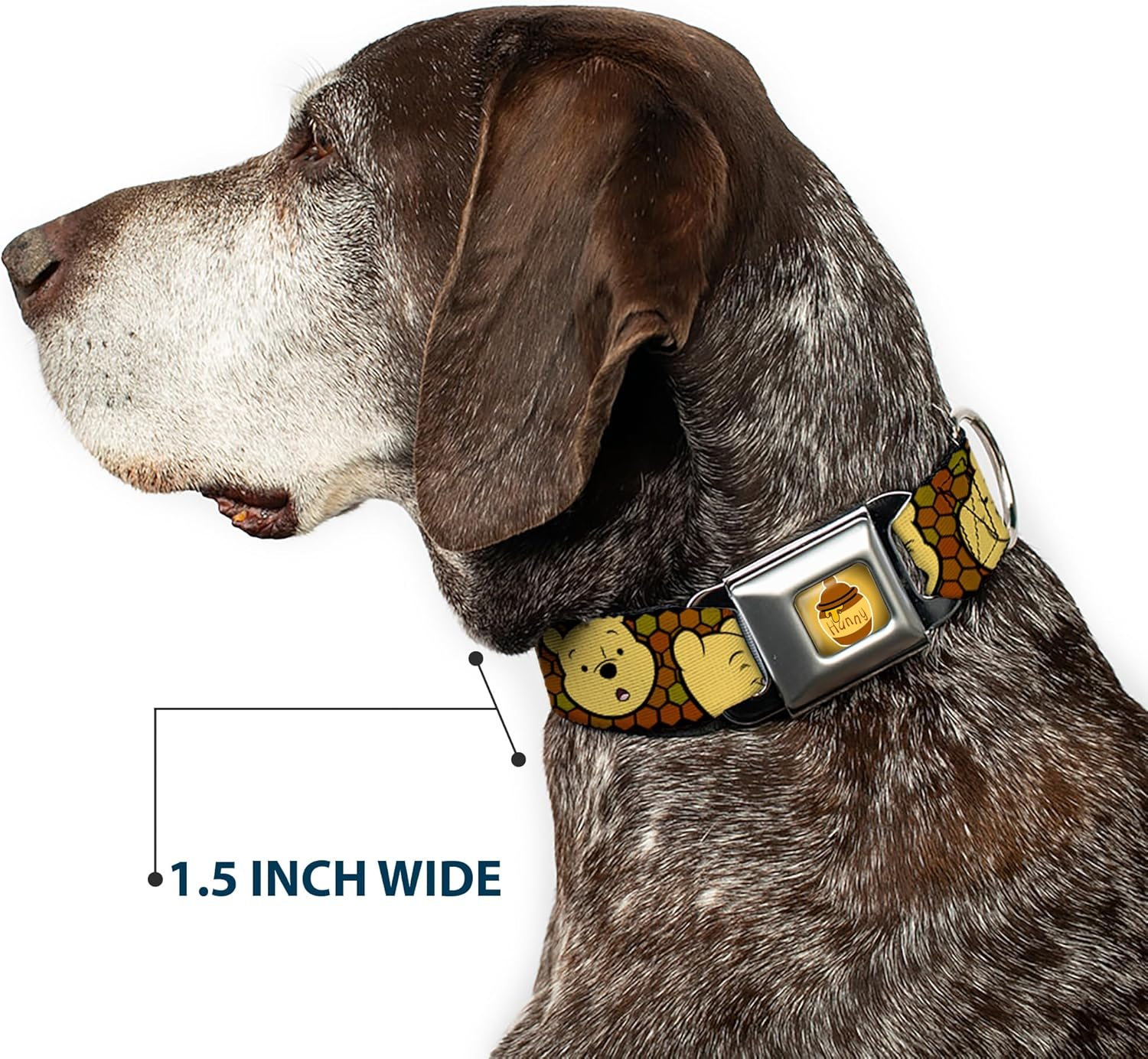 Buckle-Down DC-WDY273-L DYHP Hunny Pot Full Color Black/Browns Dog Collar, Large/15-26 image number 1