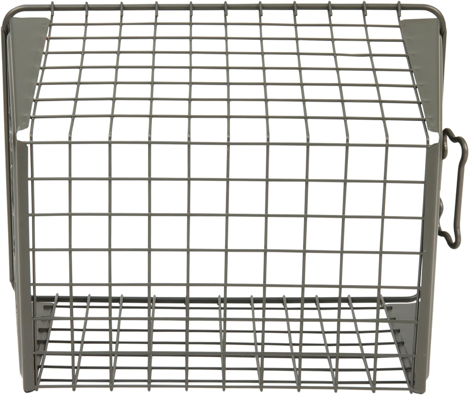 Spectrum Diversified Macklin Basket Steel Storage Bin Bone Design, Pet Accessory Organizer with Rust-Resistant Finish, Dog Toy Organization & Storage, Medium, Industrial Gray image number 2