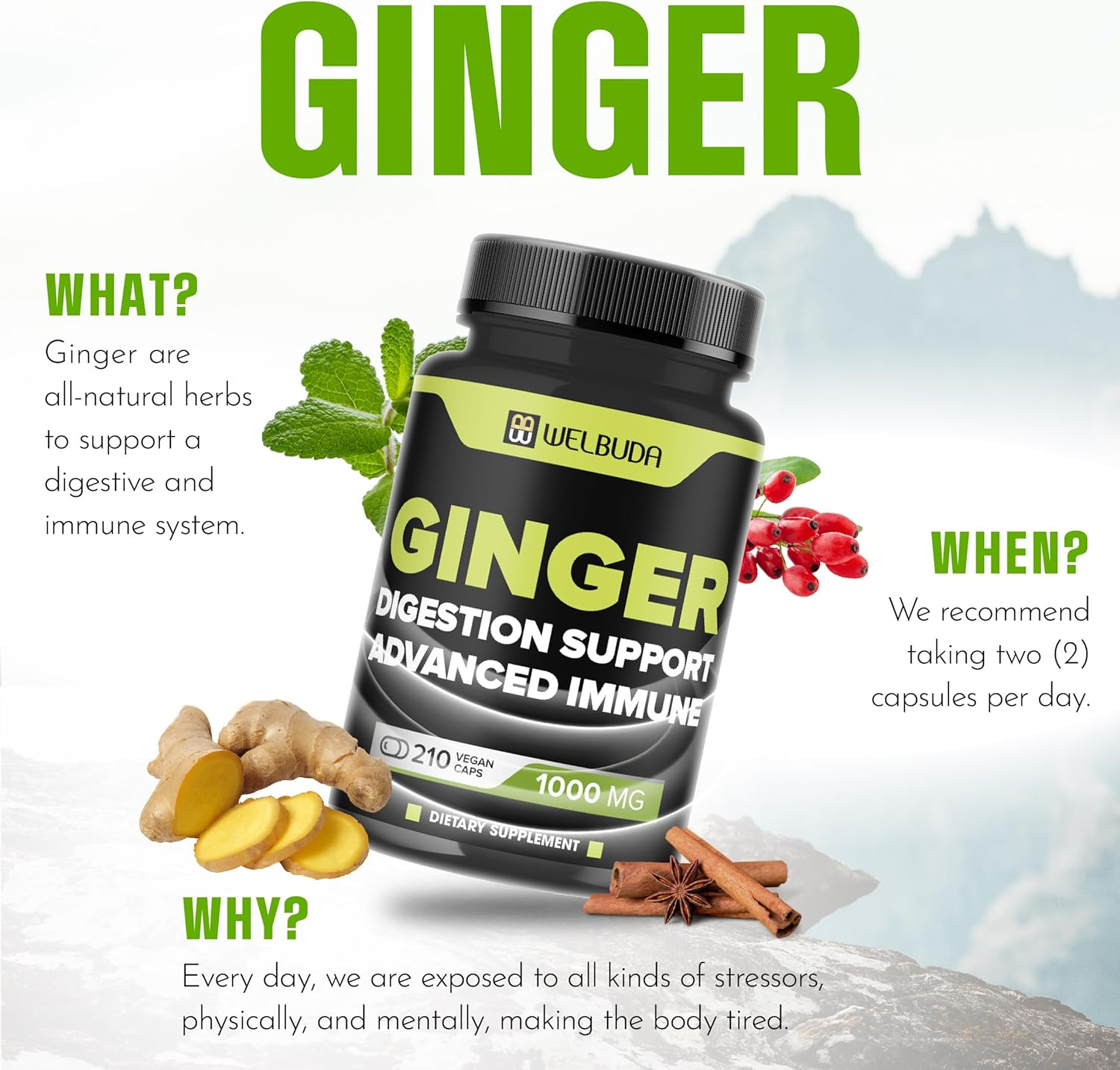 1000Mg Ginger Supplements Capsules with Berberine Hcl, Elderberry, Echinacea & More - 11In1 Support Digestion, Joint Health, Immune System, and Heart Health - 210 Ginger Pills image number 1