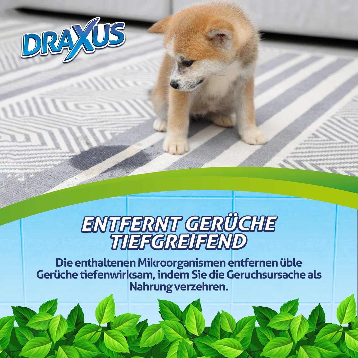 DRAXUS Odour Remover against Cat Urine and Dog Urine, Microbiological Odour Neutraliser with Mixing Bottle, Makes up to 10 Litres of Enzyme Cleaner image number 6