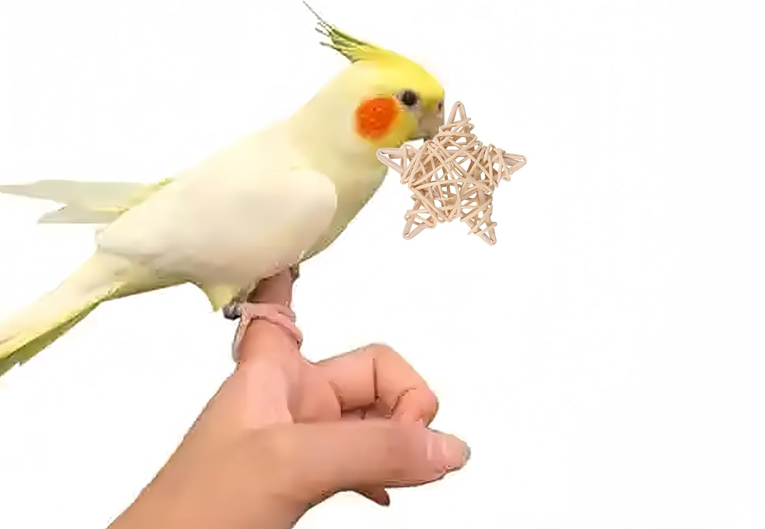 XUTONG 5Pcs Small Animal Chew Toy for Rabbits Bird Pet Chew Toy Tooth Cleaning Toy Wedding Decoration Hamster Carrier Cage image number 6