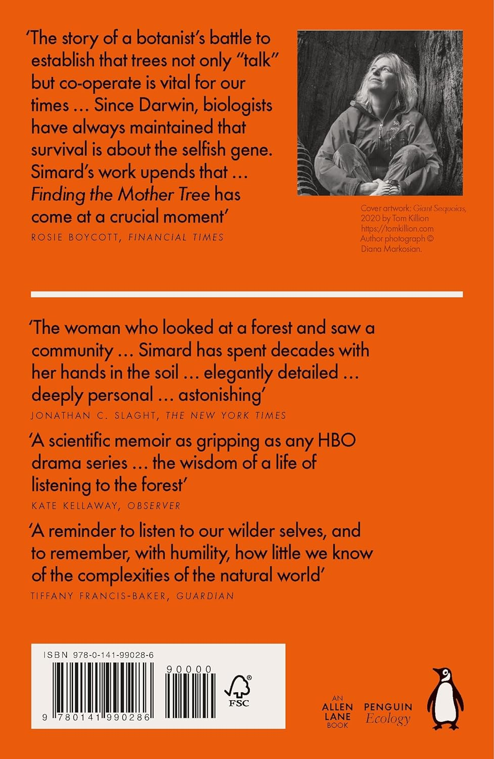 Finding the Mother Tree: Uncovering the Wisdom and Intelligence of the Forest image number 2