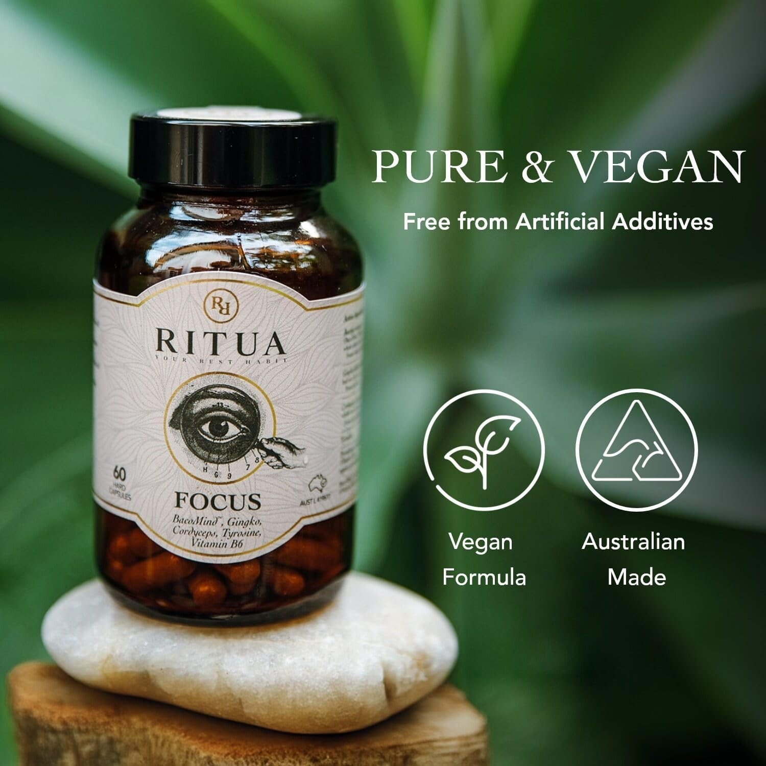 Wellness Nootropic Mushroom Blend with Bacopa, Gingko, Cordyceps & Amino Acids, 60 Capsules for Adults image number 6