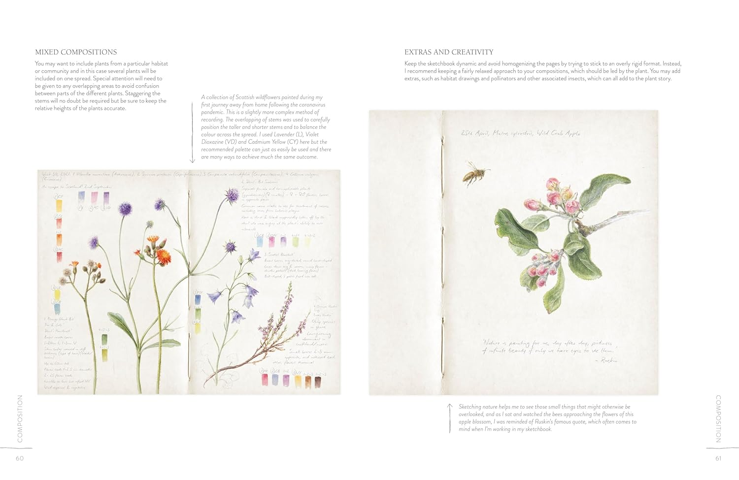 Sketching Nature: the Beginner'S Guide to Keeping a Botanical Sketchbook image number 3