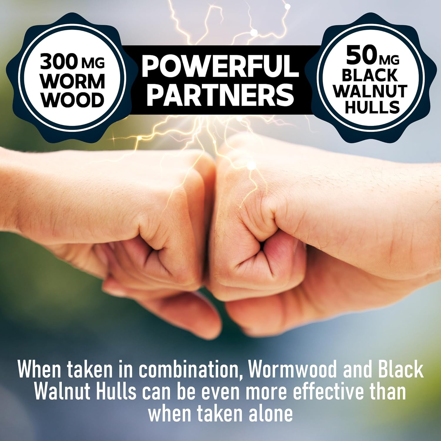 12In1 Wormwood Extract - 3 Month Supply - 90 Capsules - 12 Herbs Blended Black Walnut Hulls, Clove & More