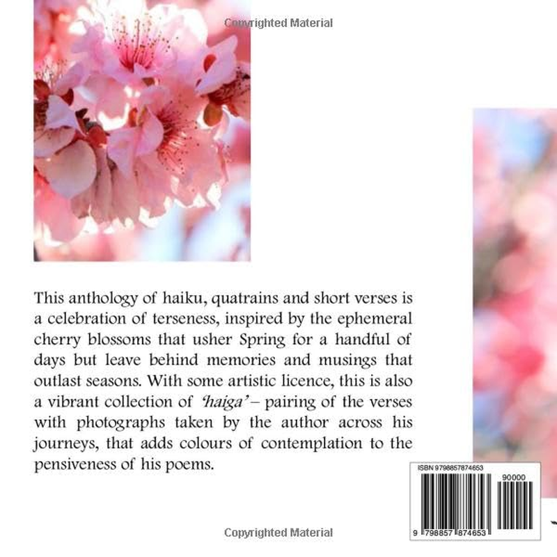 Beneath the Sakura: Haiku Reflections