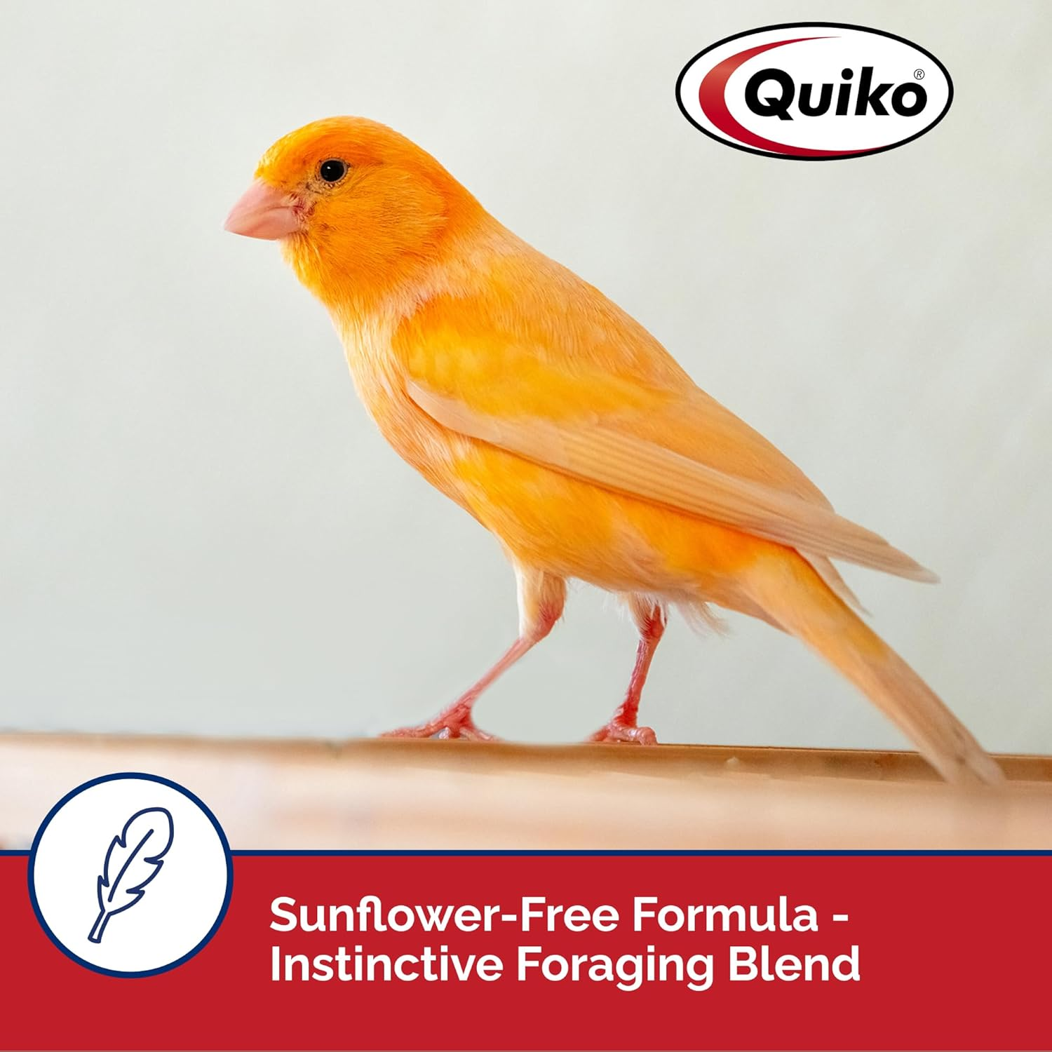 Quiko Special Red Egg Food Supplement, Red-Factor Formula with Canthaxanthin for Canaries, 1.1 Lb. Pouch image number 3