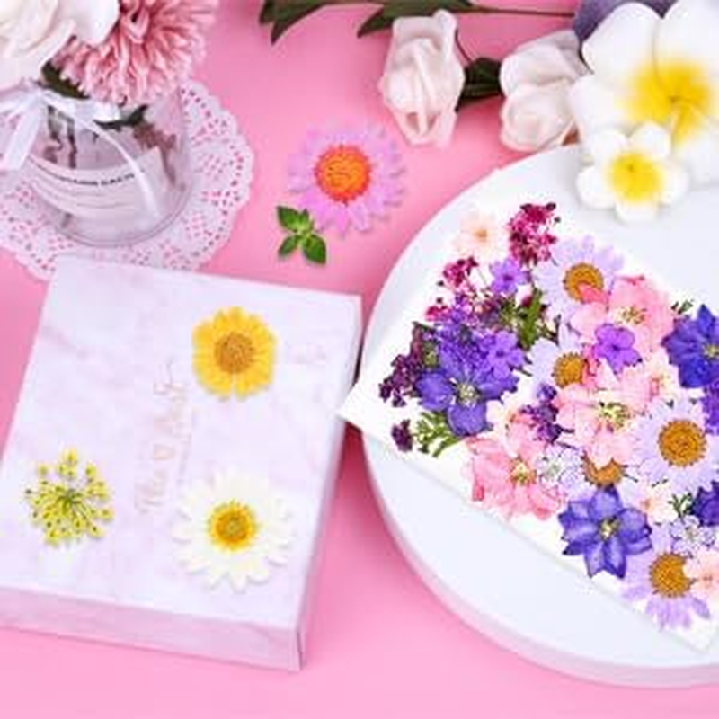 140Pcs Real Flowers Embossed, Dry Embossed Dry Leaves Bulk Natural Plants Kit for Journaling, DIY Art Crafts, Nail Art Decoration, Decorating Candles, Making Soap, Drop Glue Mold Decoration image number 3