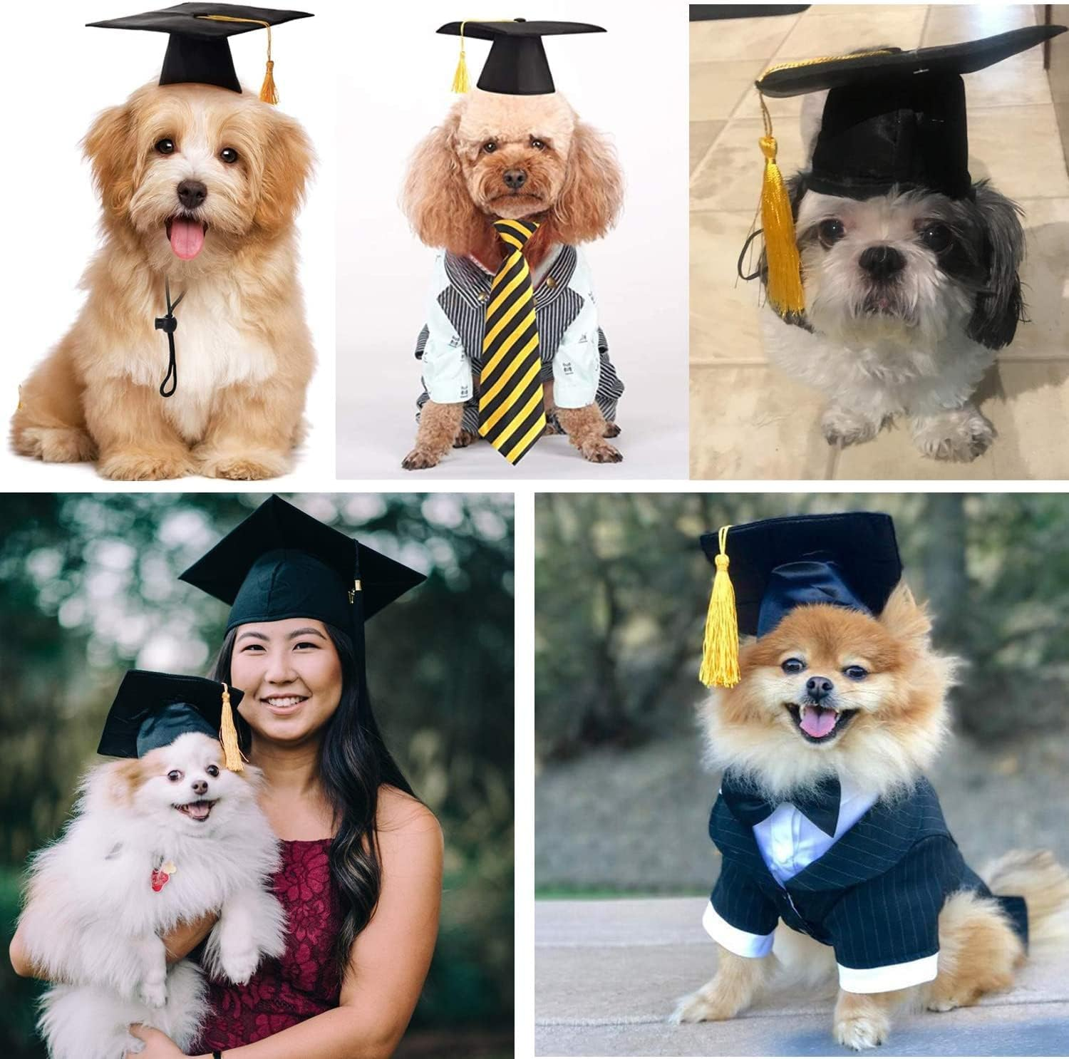 Dog Graduation Cap Dog Grad Cap Pet Graduation Caps Hats Halloween Costume Small Dog Graduation Hats with Tassel for Dogs Cats Holiday Costume Accessory Cat Doctor Hat Party Apparel Dog Outfits image number 4