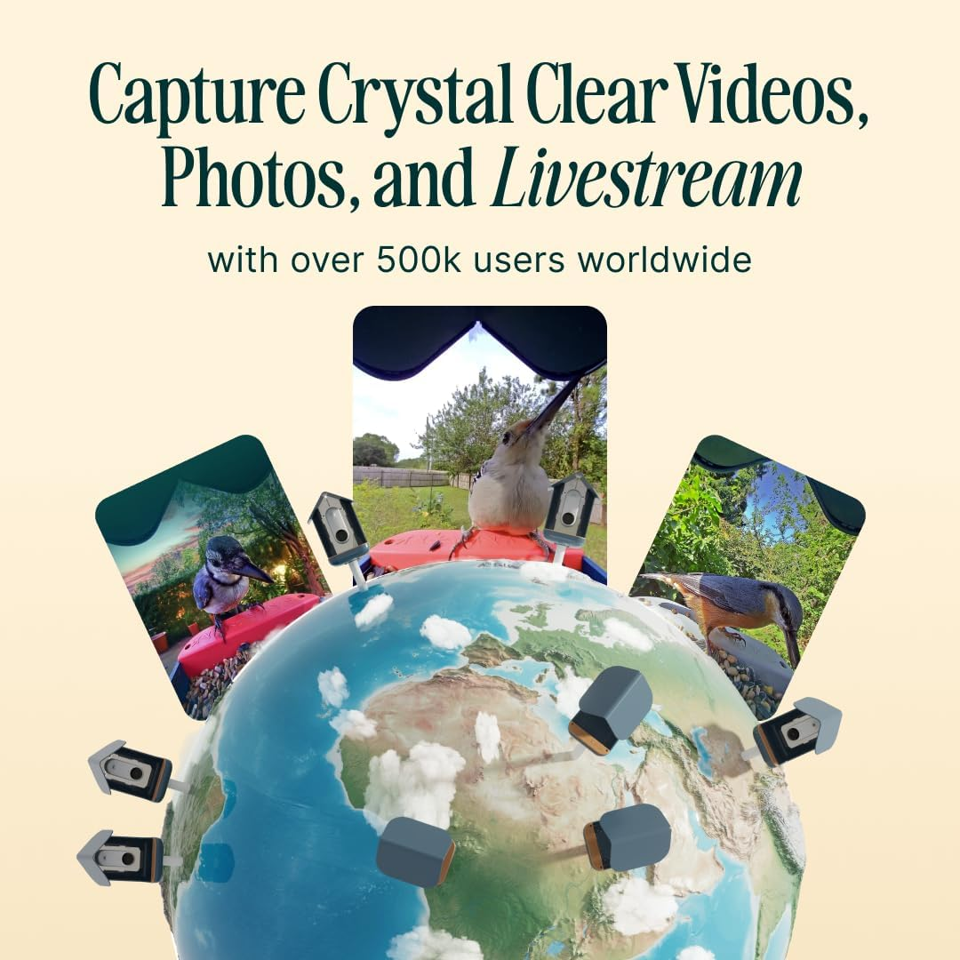 Bird Buddy Non Solar Smart Bird Feeder with Camera - Ai Bird Species Identification, 5Mp Photos, 2K Hd Video Live Stream Camera, Battery-Powered Charging, 2.8In Focus - Blue image number 1