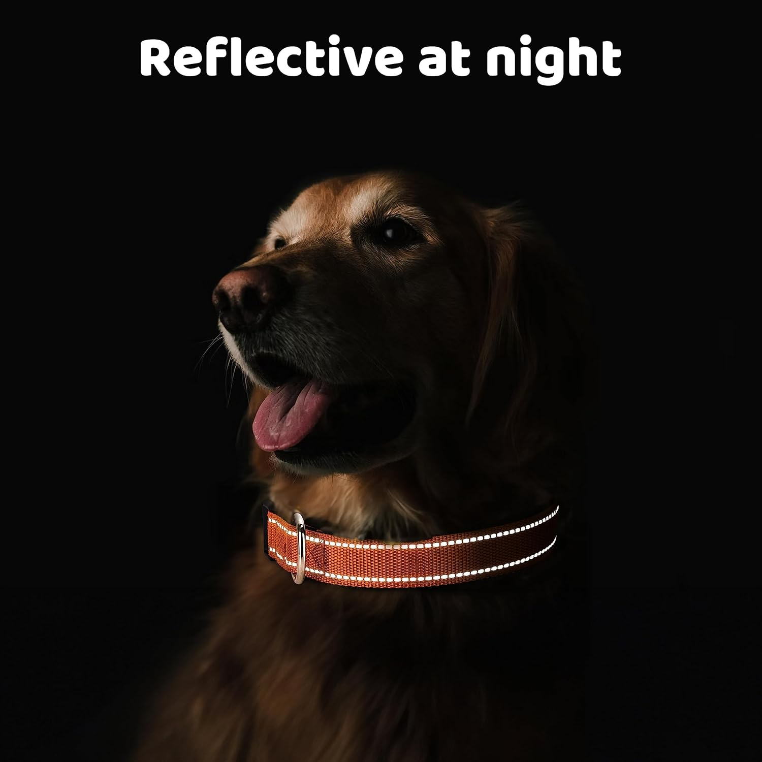 Reflective Nylon Dog Collar with Safety Buckle, Adjustable Pet Collars with Soft Neoprene Padding (Orange, M) image number 4