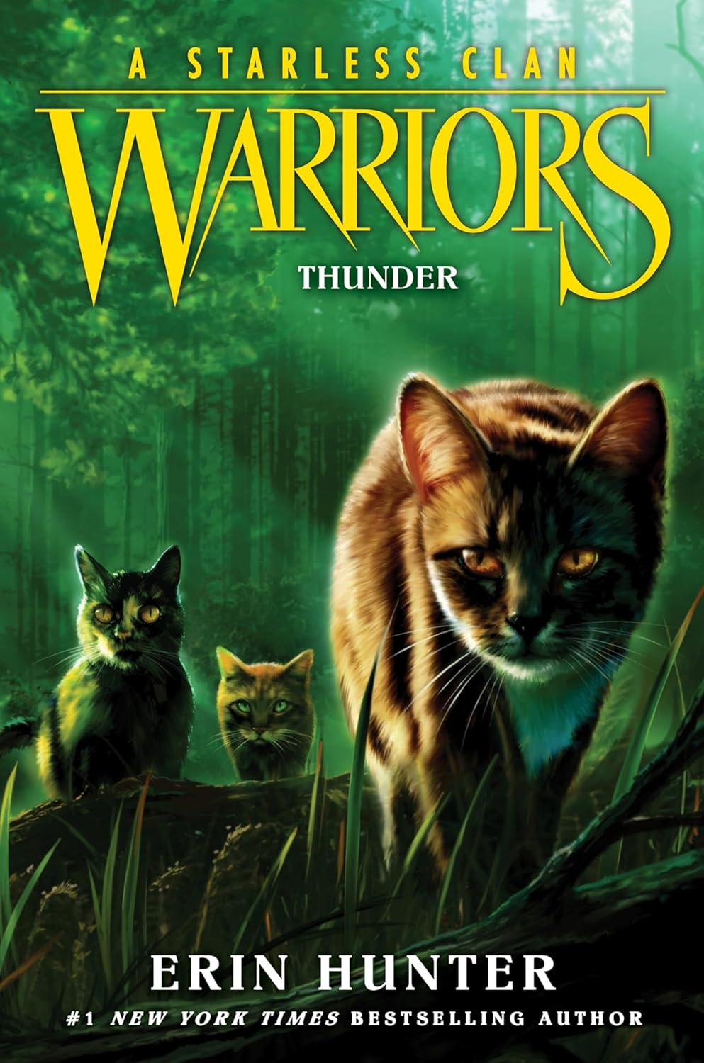 Warriors a Starless Clan #4 - Thunder