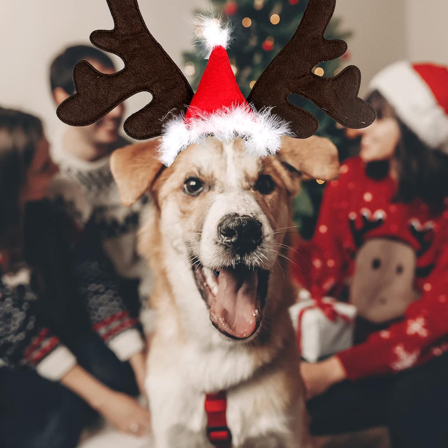 Christmas Dog Elk Reindeer Antler Headband Santa Hat Cap Pet Xmas Costume Headwear Adjustable Accessories for Cat and Puppy Small Dog image number 6