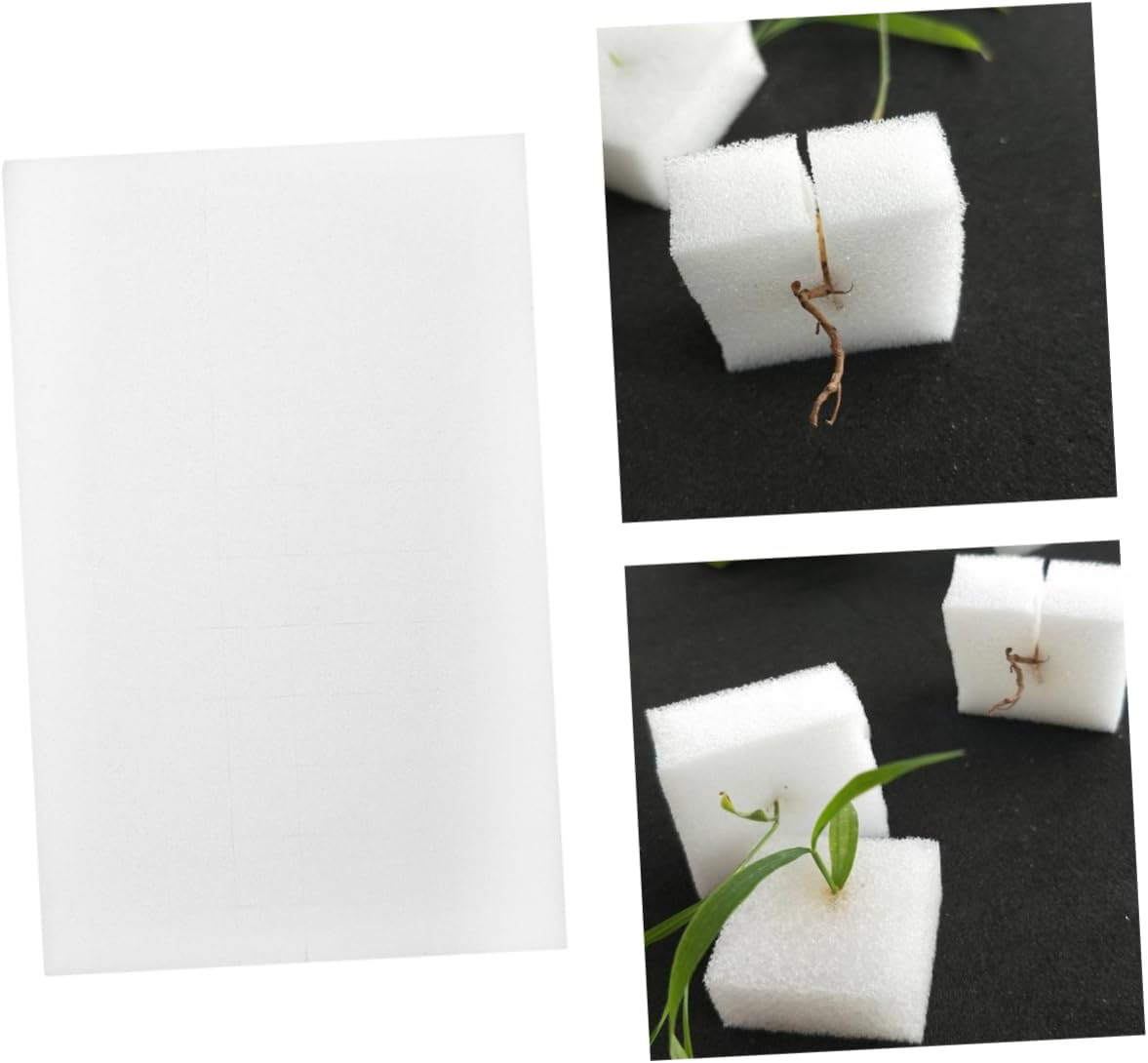 Happyyami 2Pcs Soilless Cultivation Hydroponic Sponges 25Mm Cube Planting Sponge for Seedling Growth Gardening Tools Indoor Hydroponics Water Absorbent image number 2
